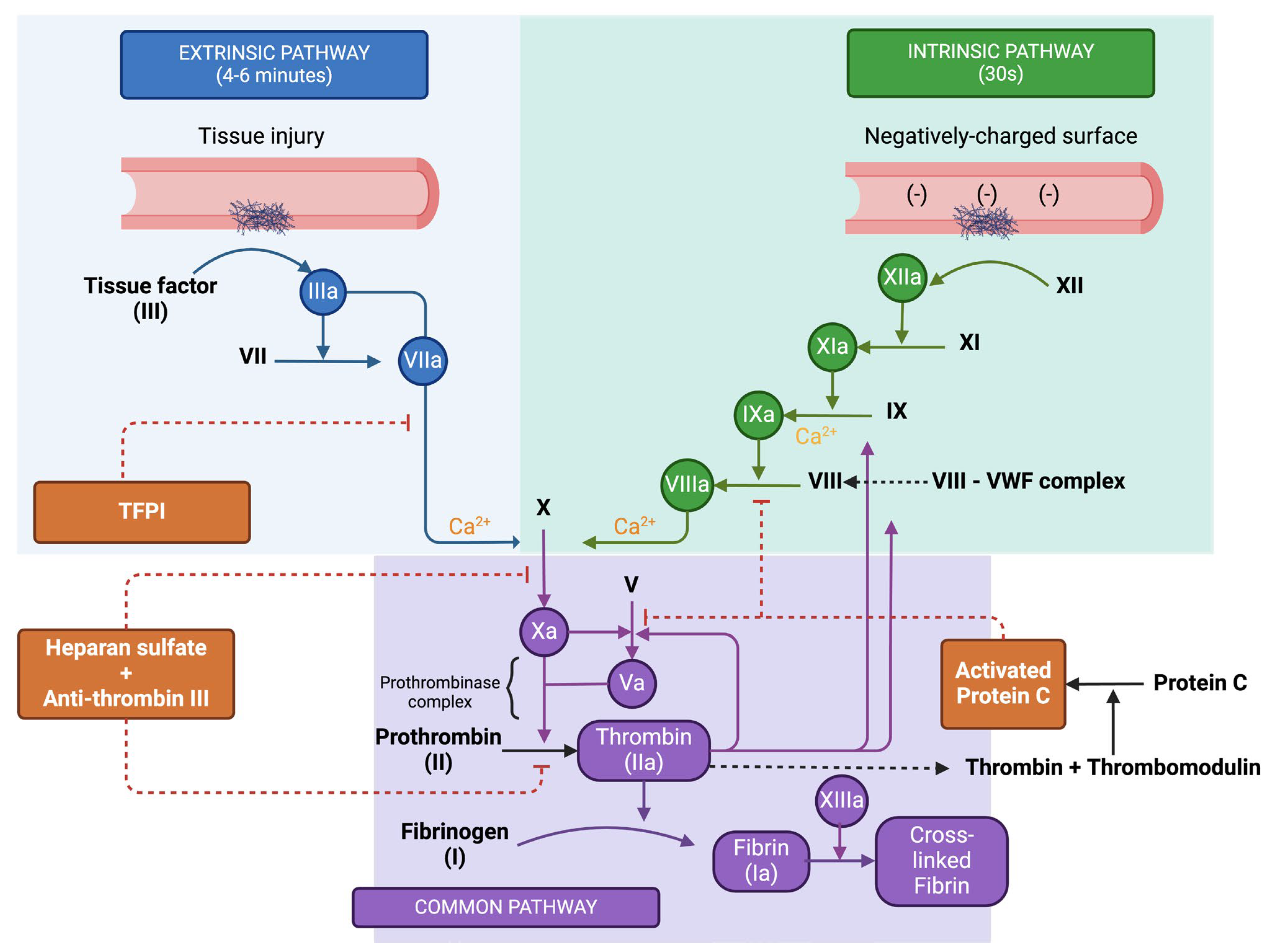 Medicina 61 01087 g003