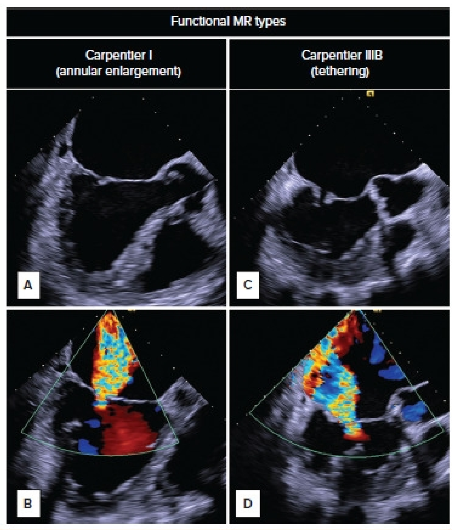 Medicina 61 01092 g002
