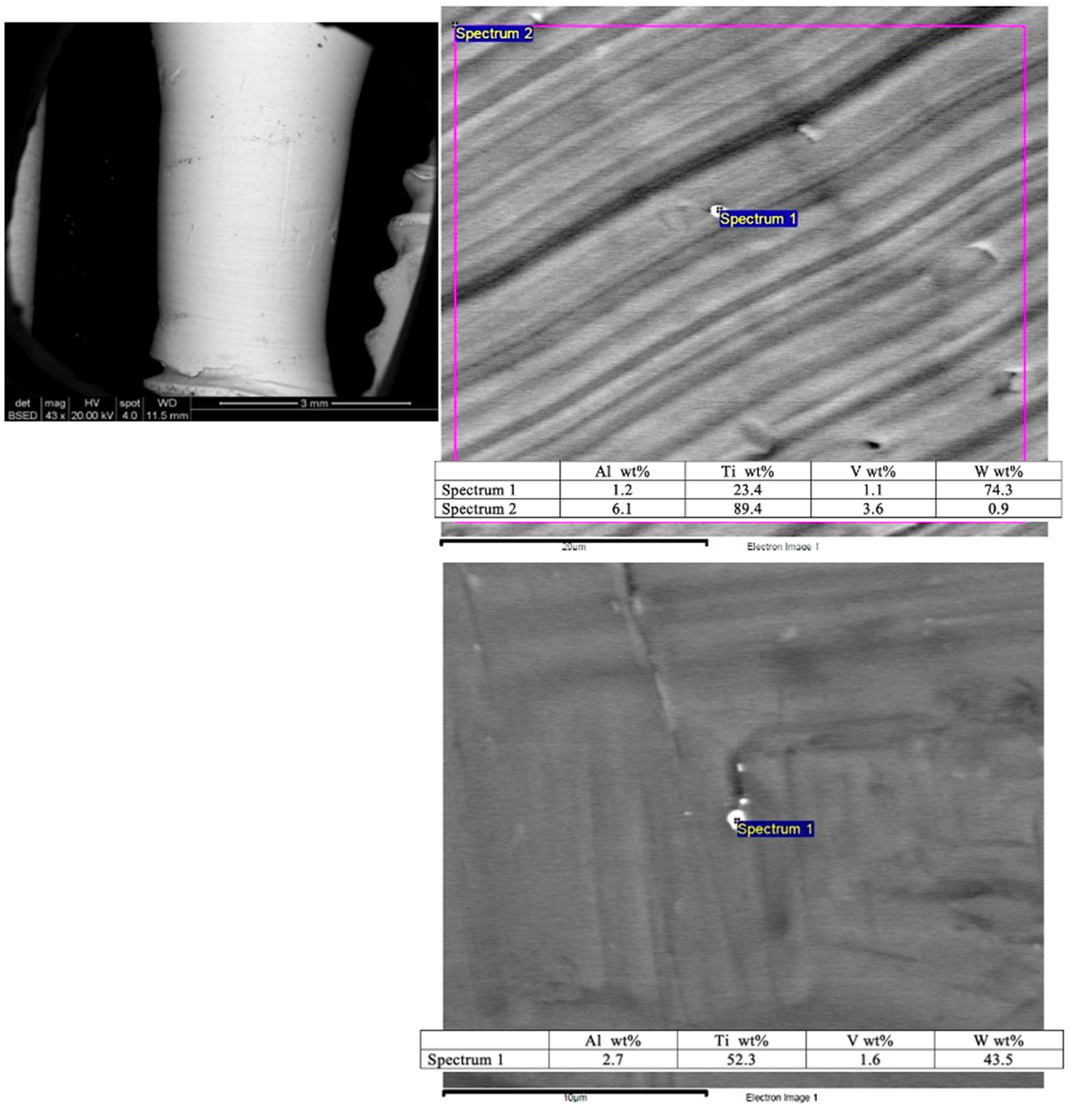 Medicina 61 01094 g004