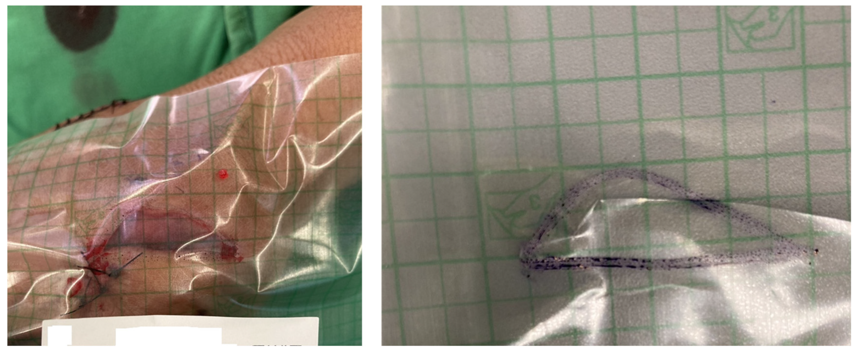 Medicina 61 01099 g001