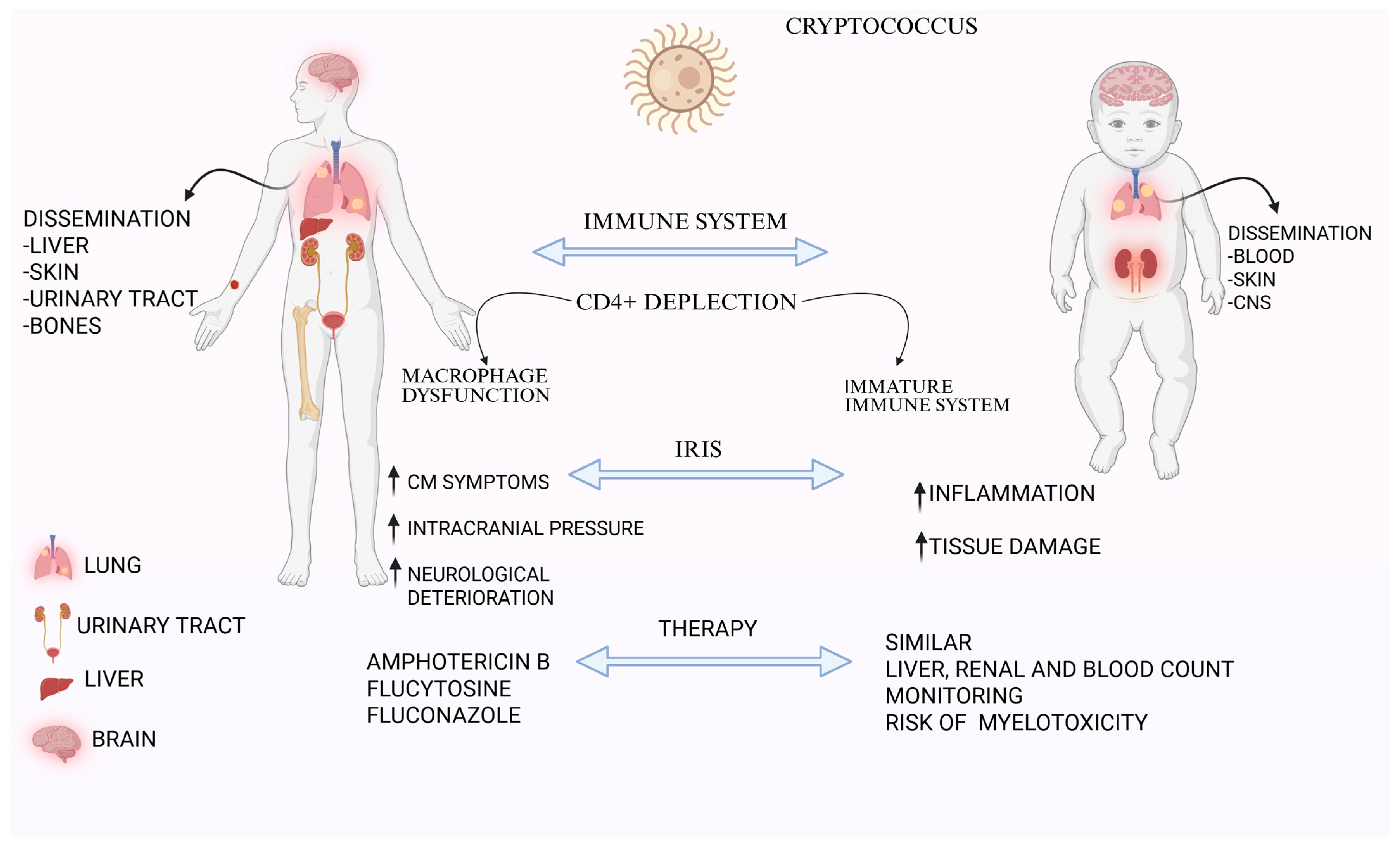 Medicina 61 01108 g001