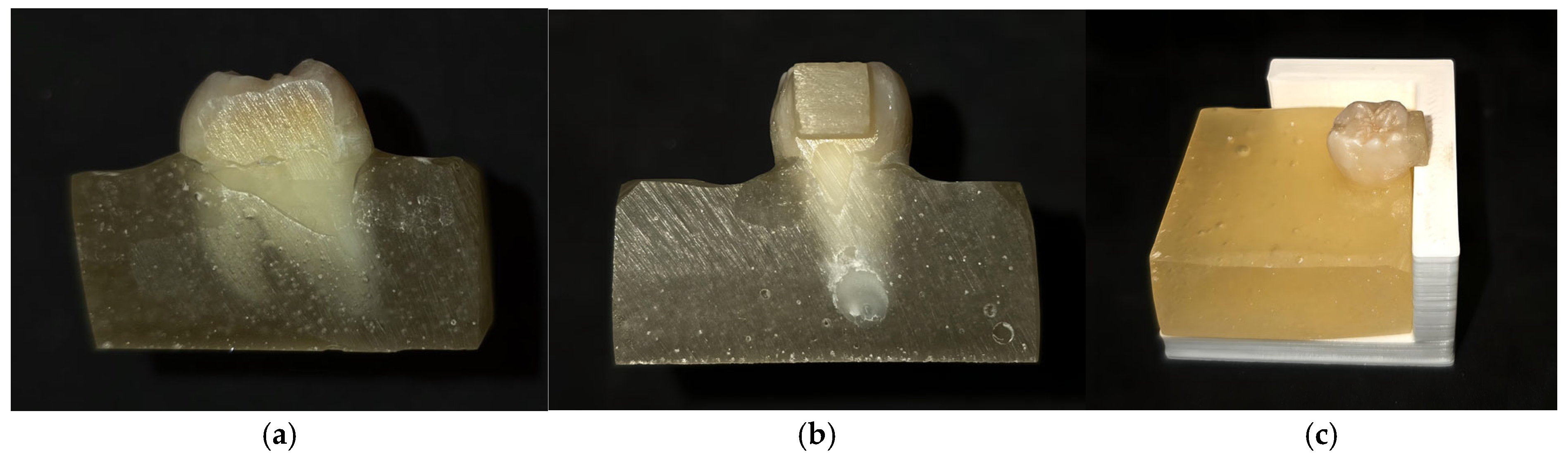 Medicina 61 01118 g001