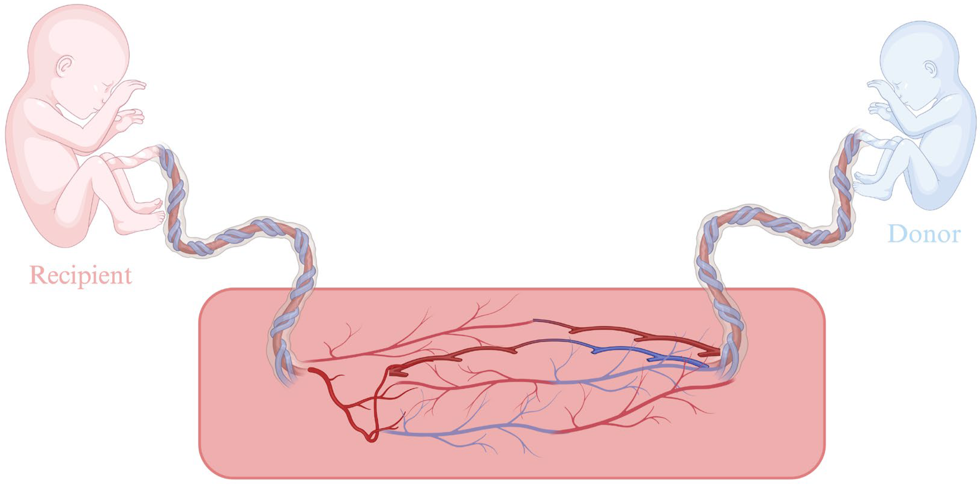 Medicina 61 01136 g001