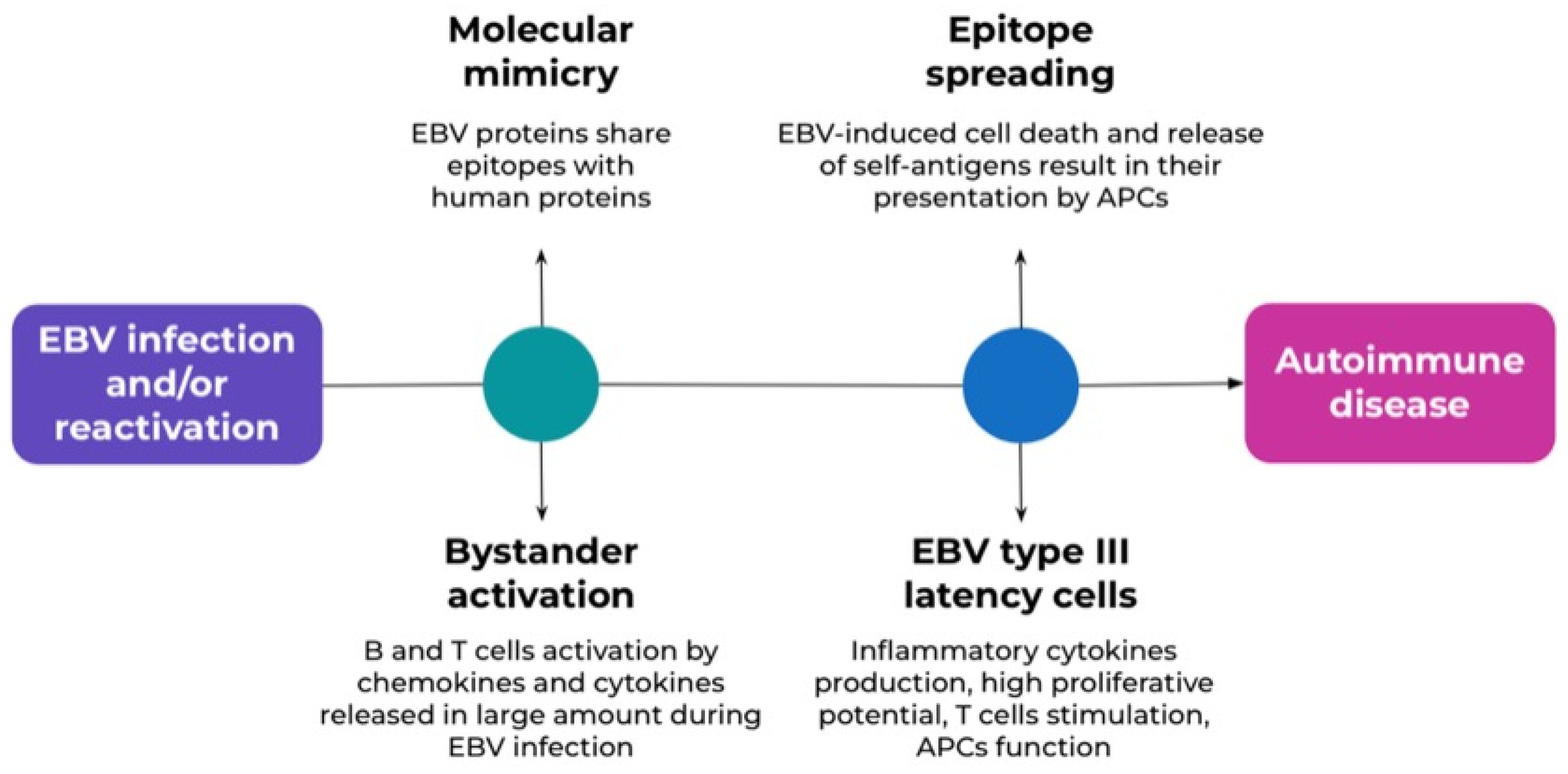 Medicina 61 01148 g001