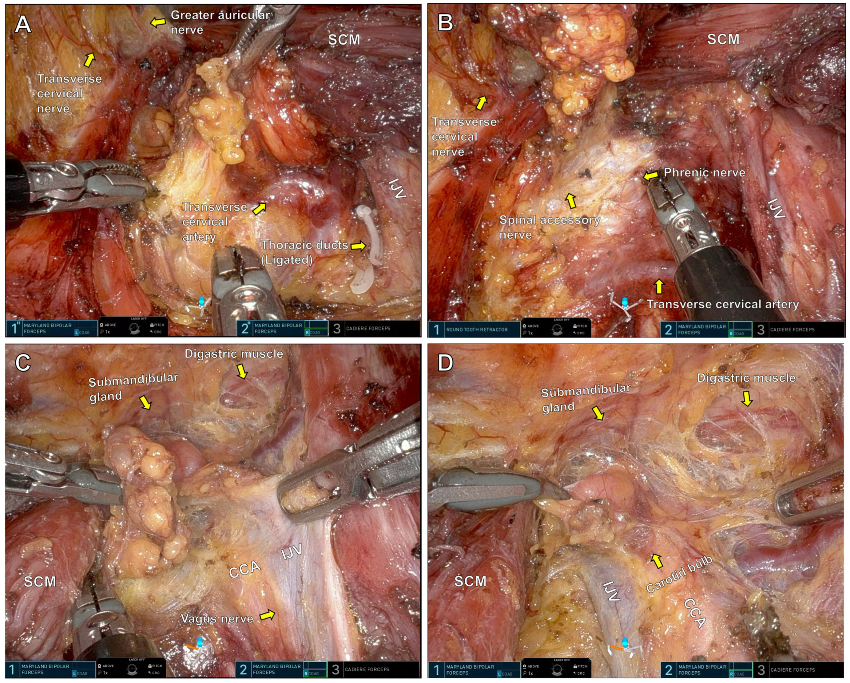 Medicina 61 01150 g002