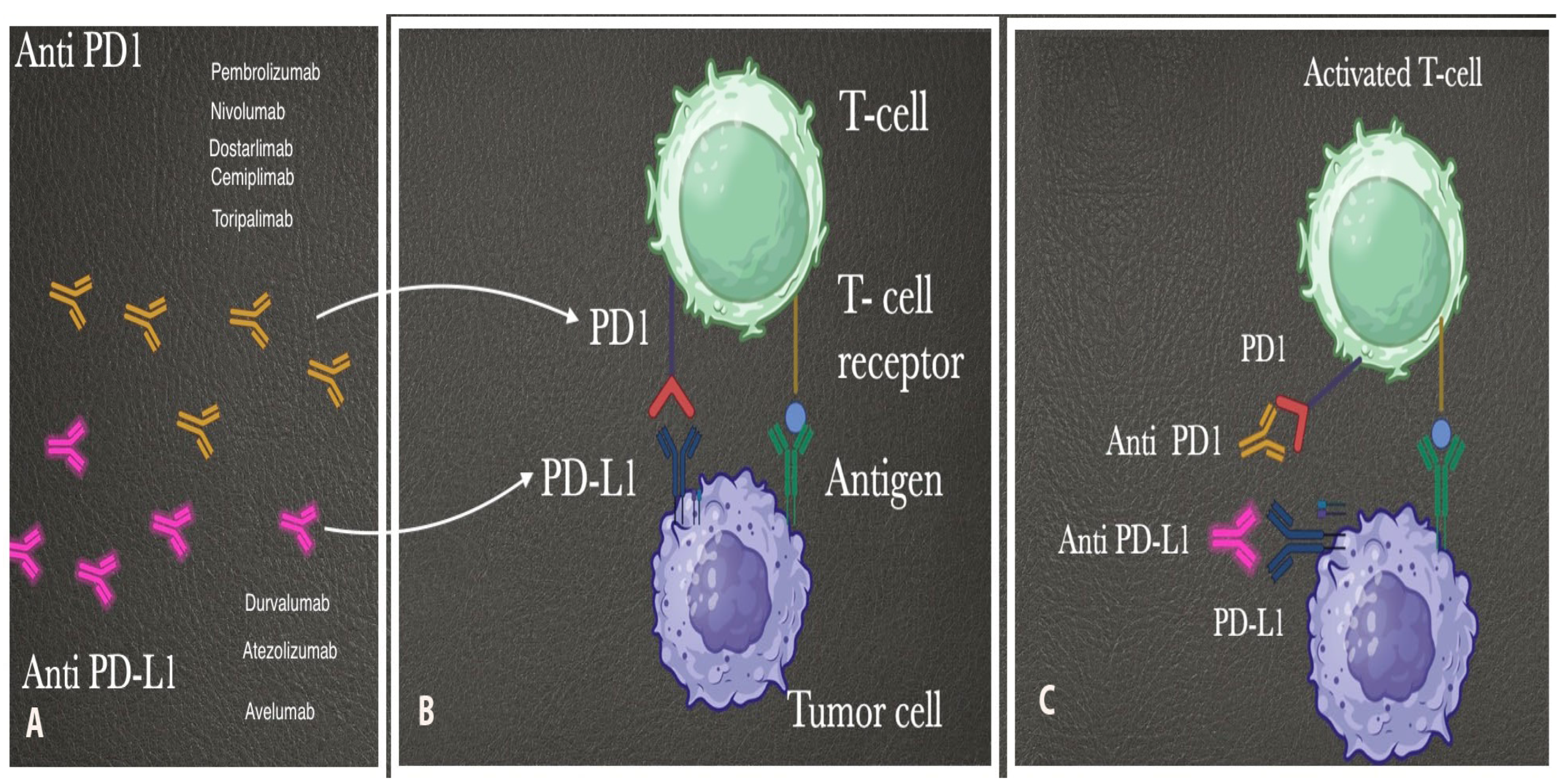 Medicina 61 01156 g004 Medicina 61 01156 g004