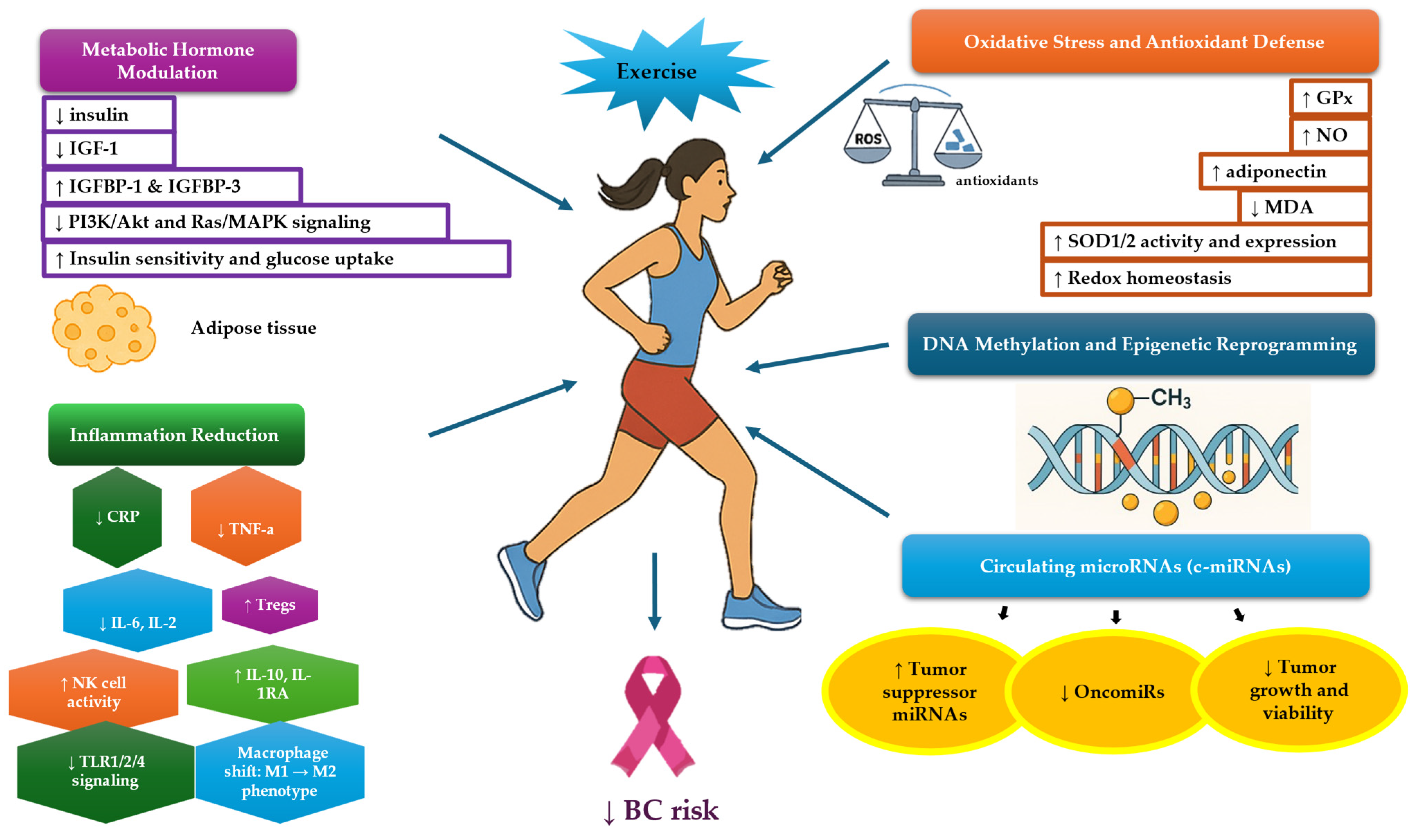 Medicina 61 01167 g002