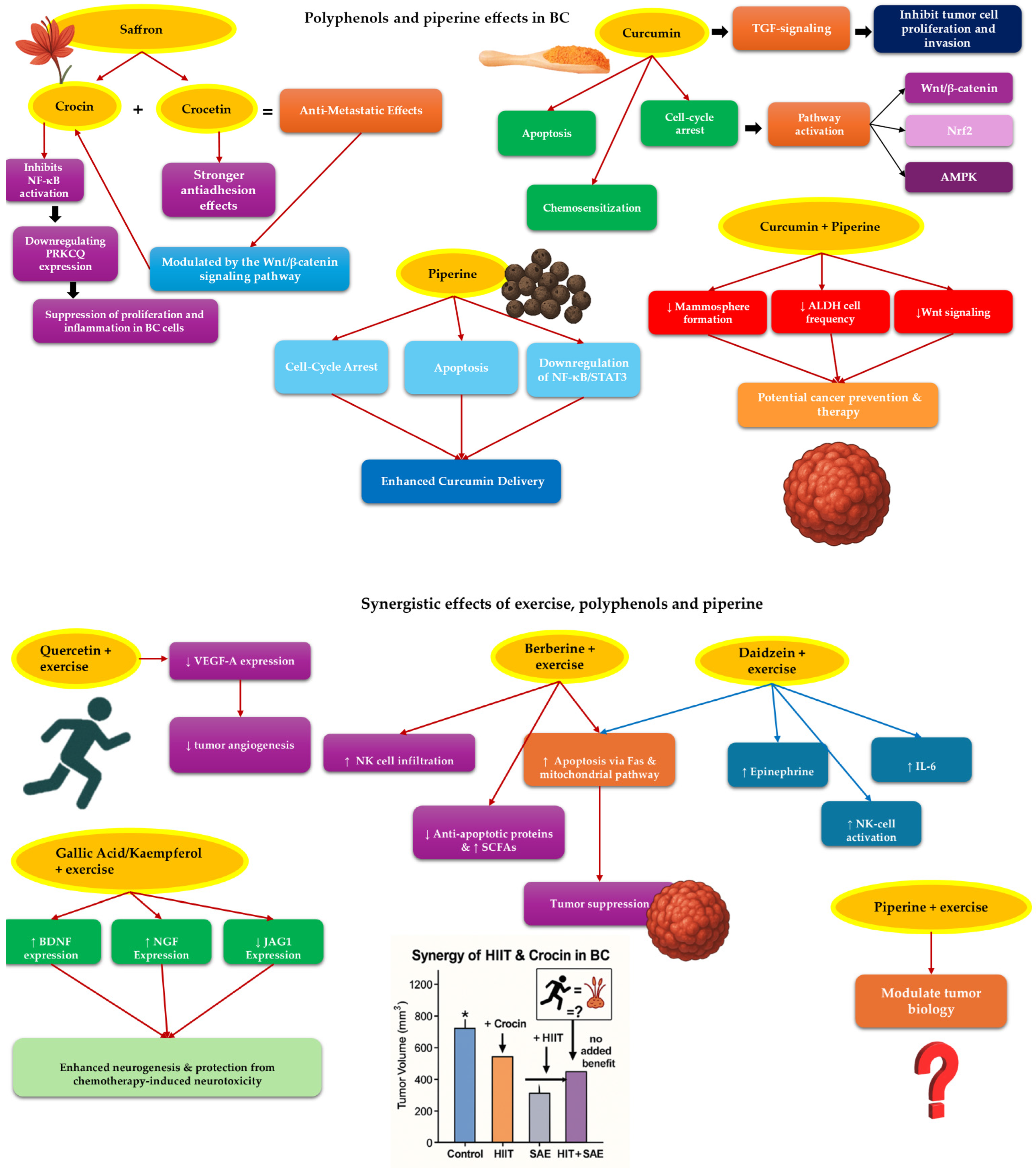 Medicina 61 01167 g003
