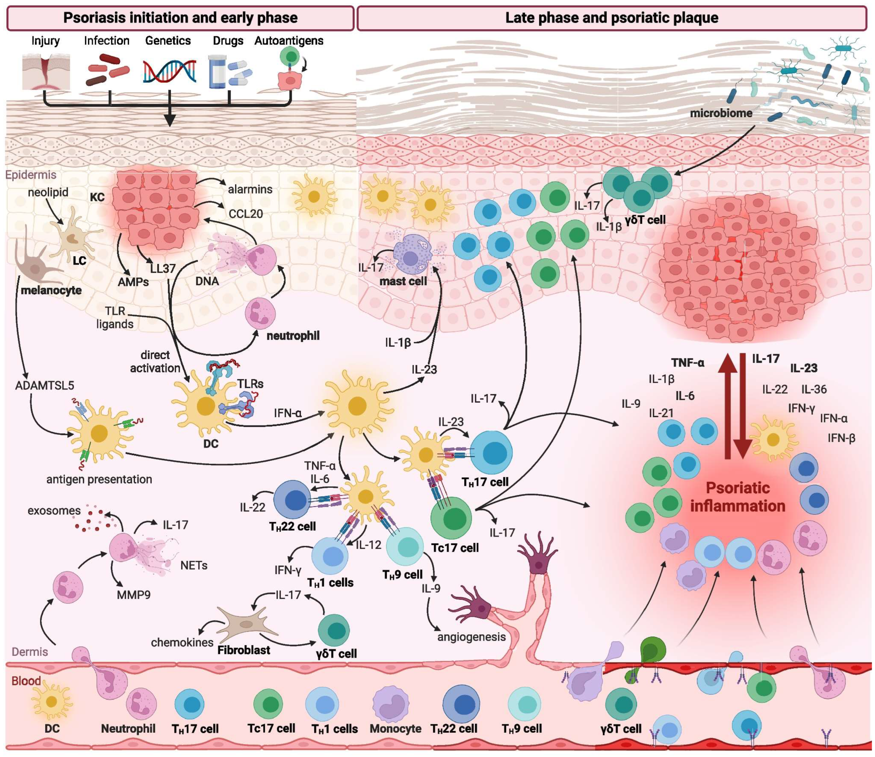 Medicina 61 01180 g001