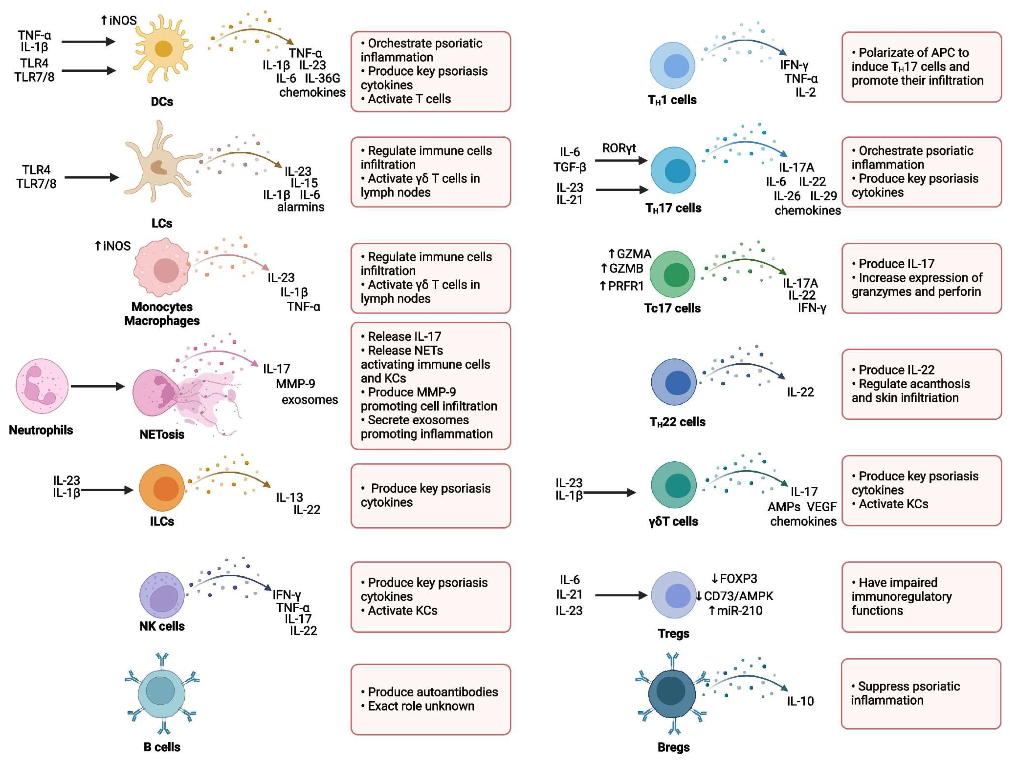Medicina 61 01180 g002