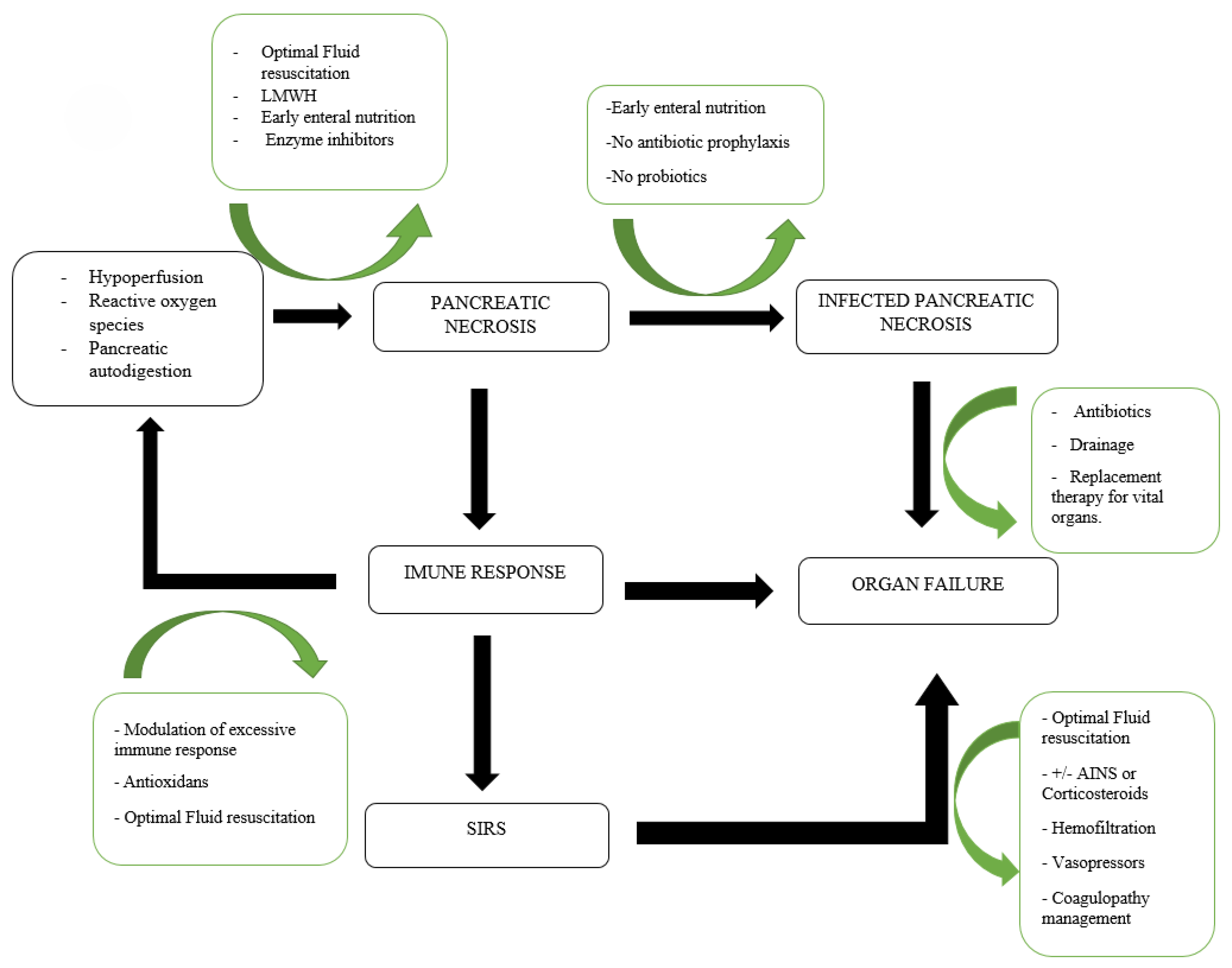 Medicina 61 01186 g001