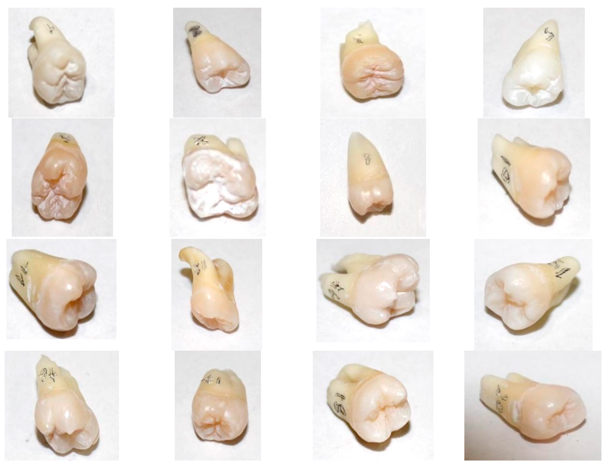 Medicina 61 01189 g002