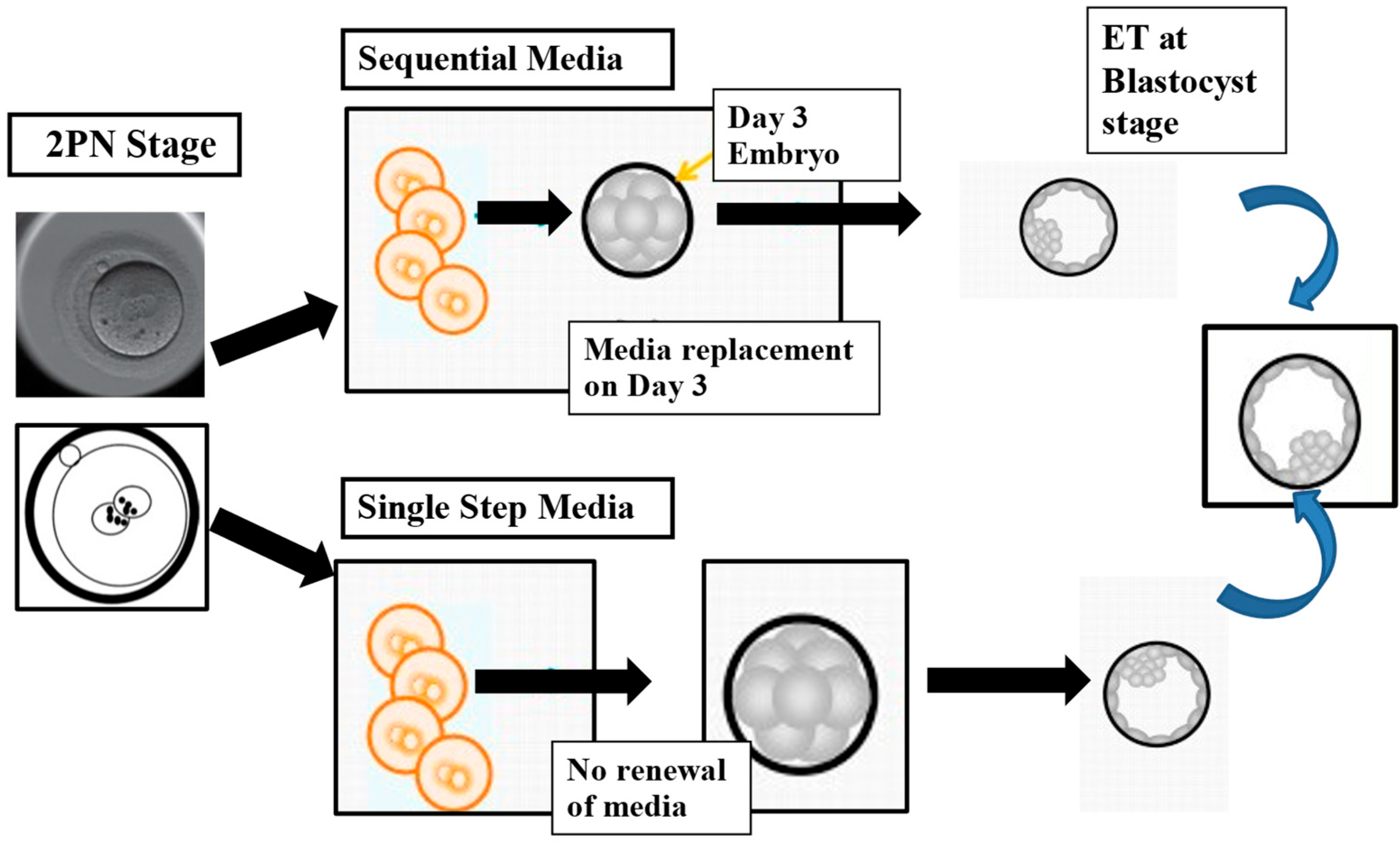 Medicina 61 01194 g001