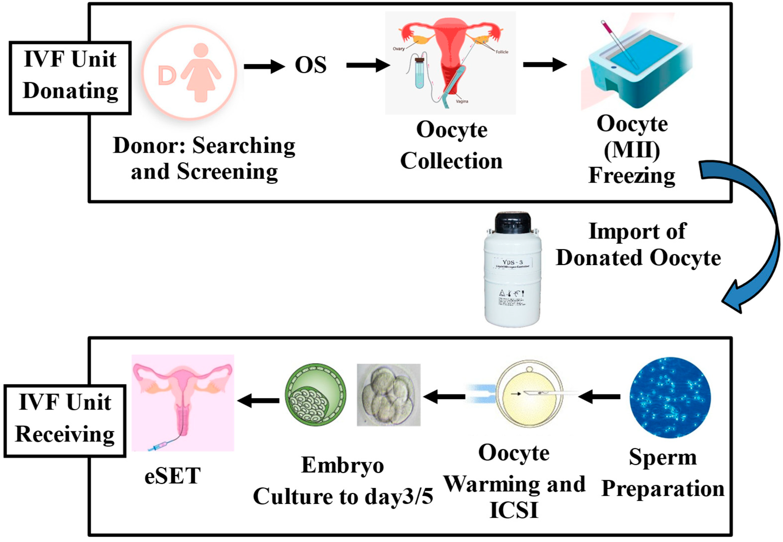 Medicina 61 01194 g003
