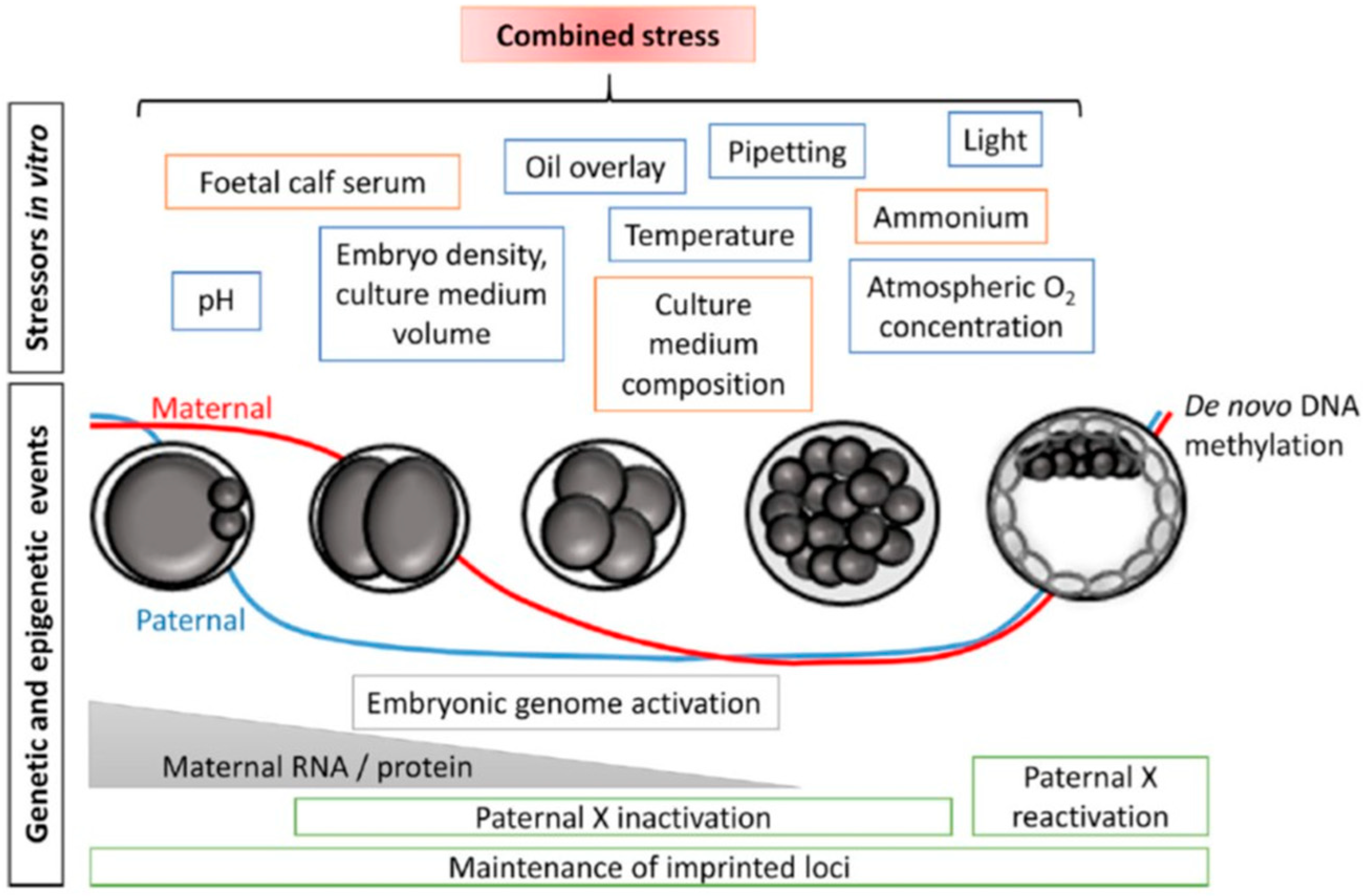 Medicina 61 01194 g004