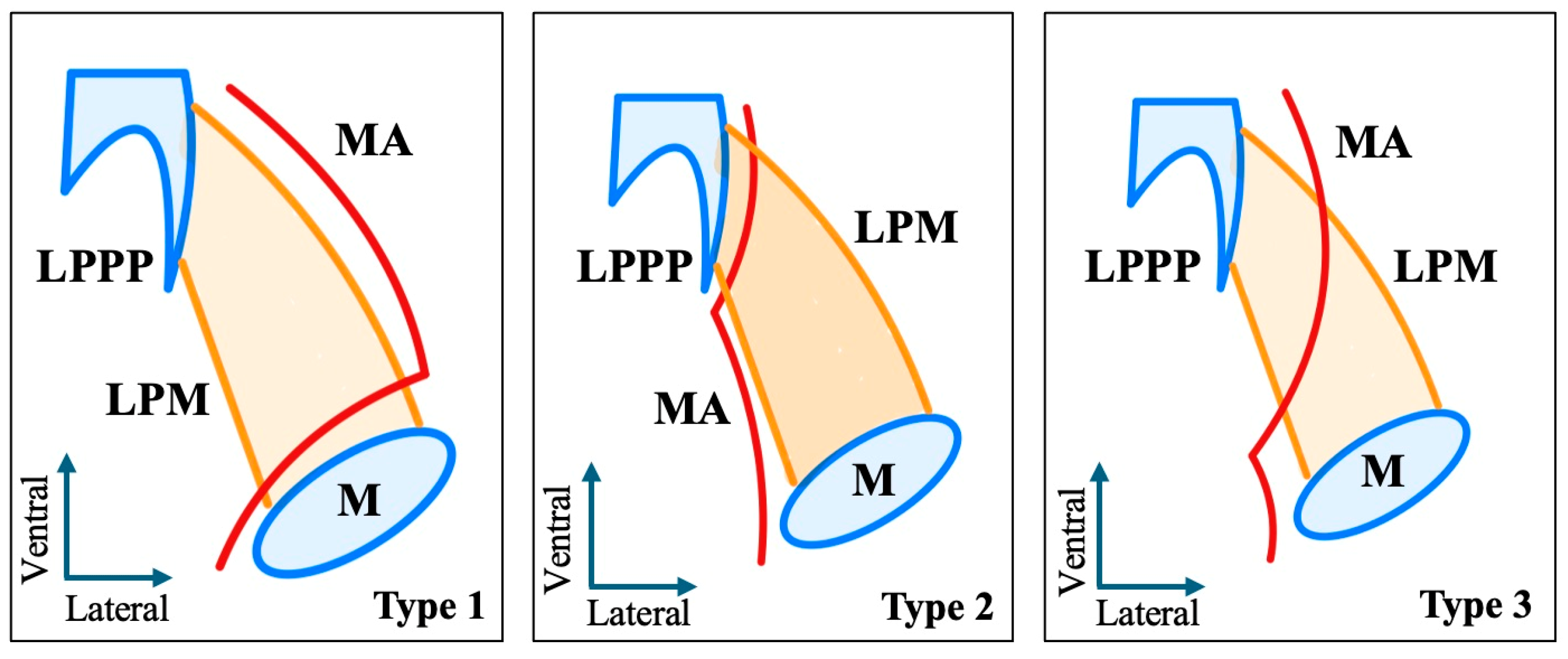 Medicina 61 01201 g001