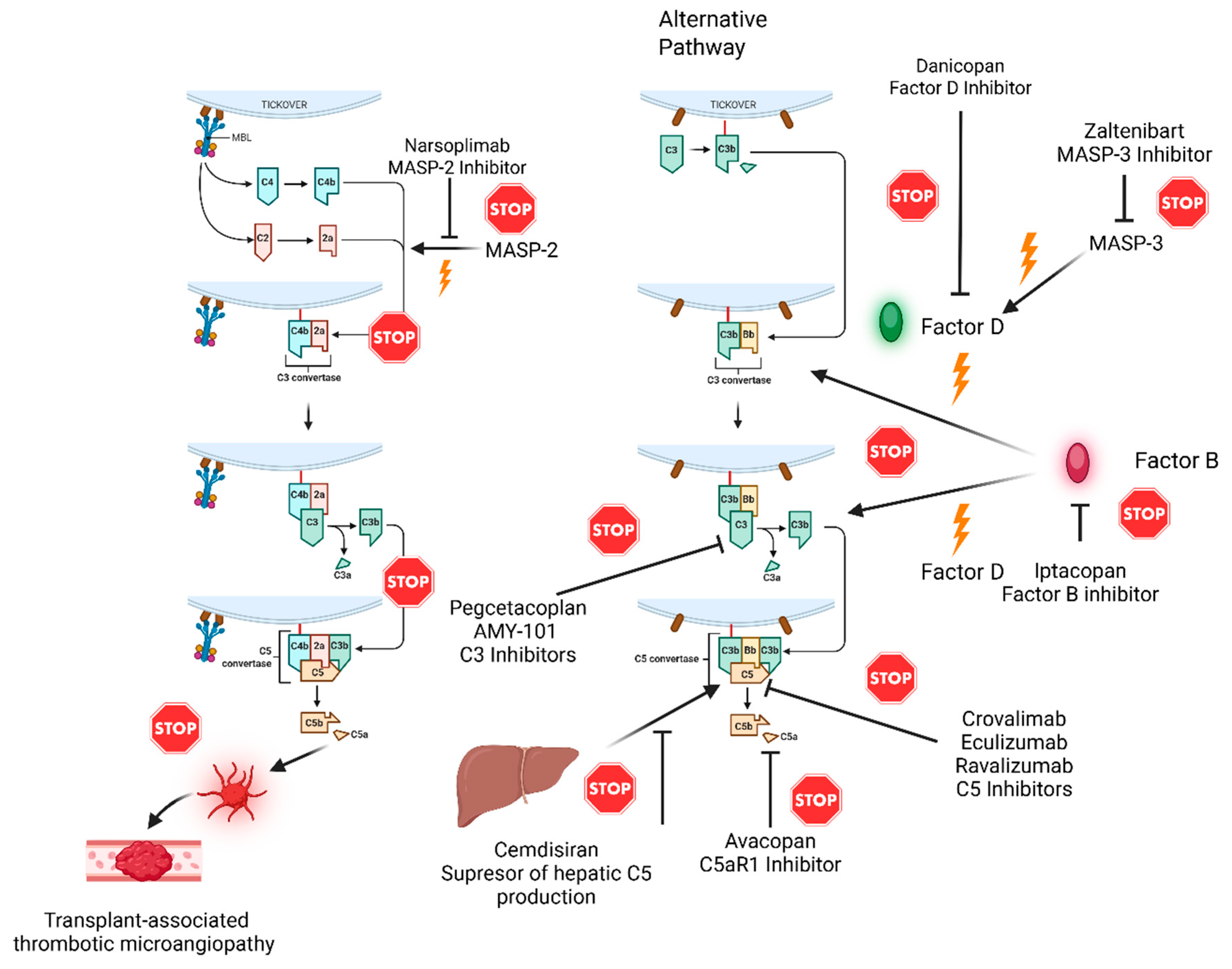 Medicina 61 01205 g001