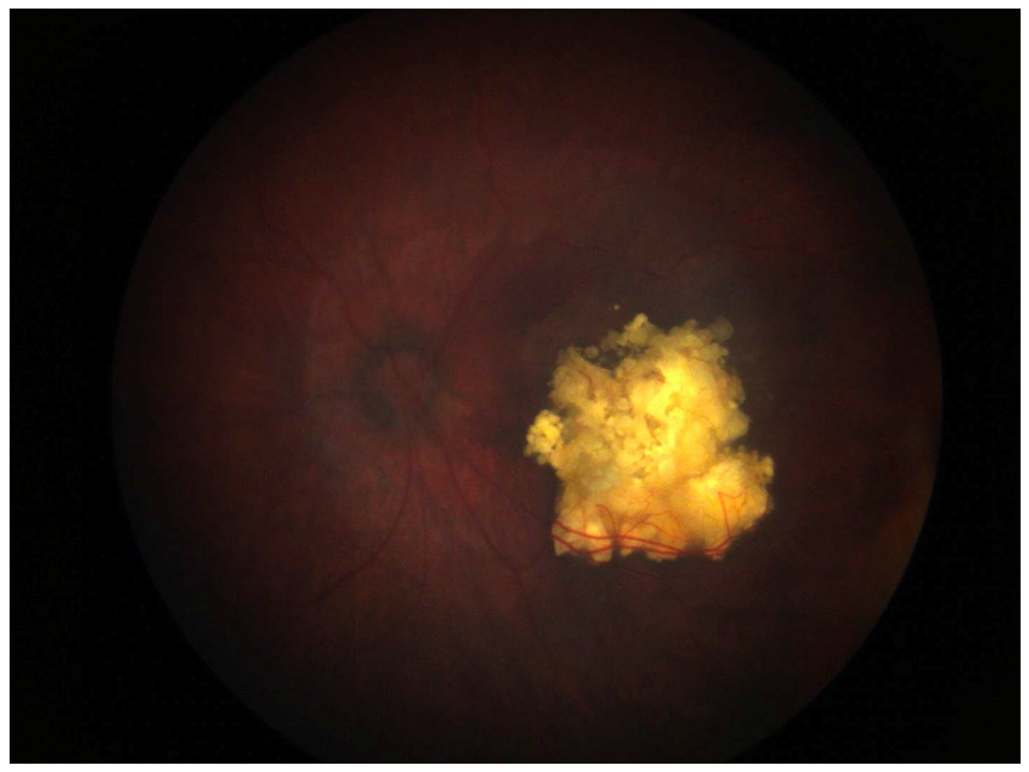 Medicina 61 01219 g001