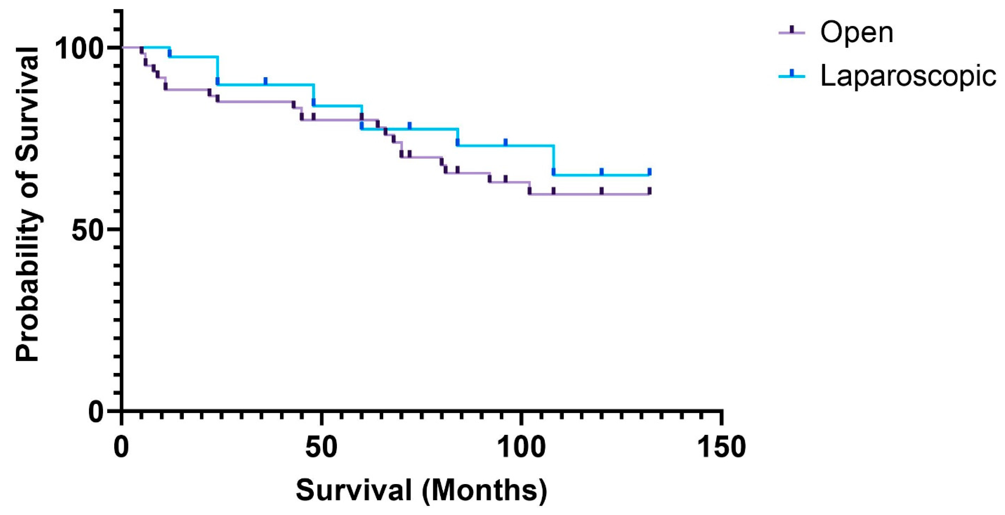 Medicina 61 01231 g001 Medicina 61 01231 g001