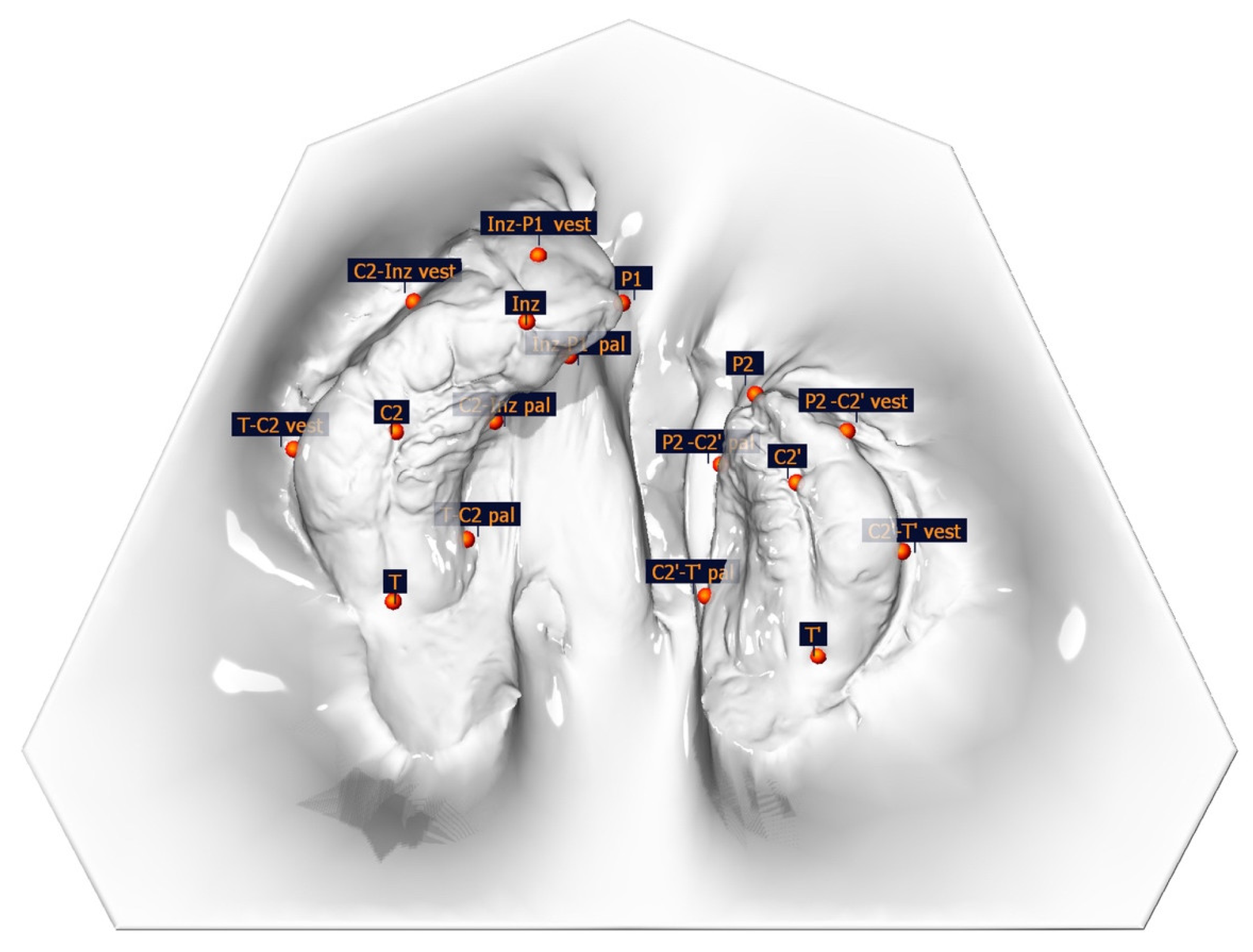 Medicina 61 01232 g001 Medicina 61 01232 g001