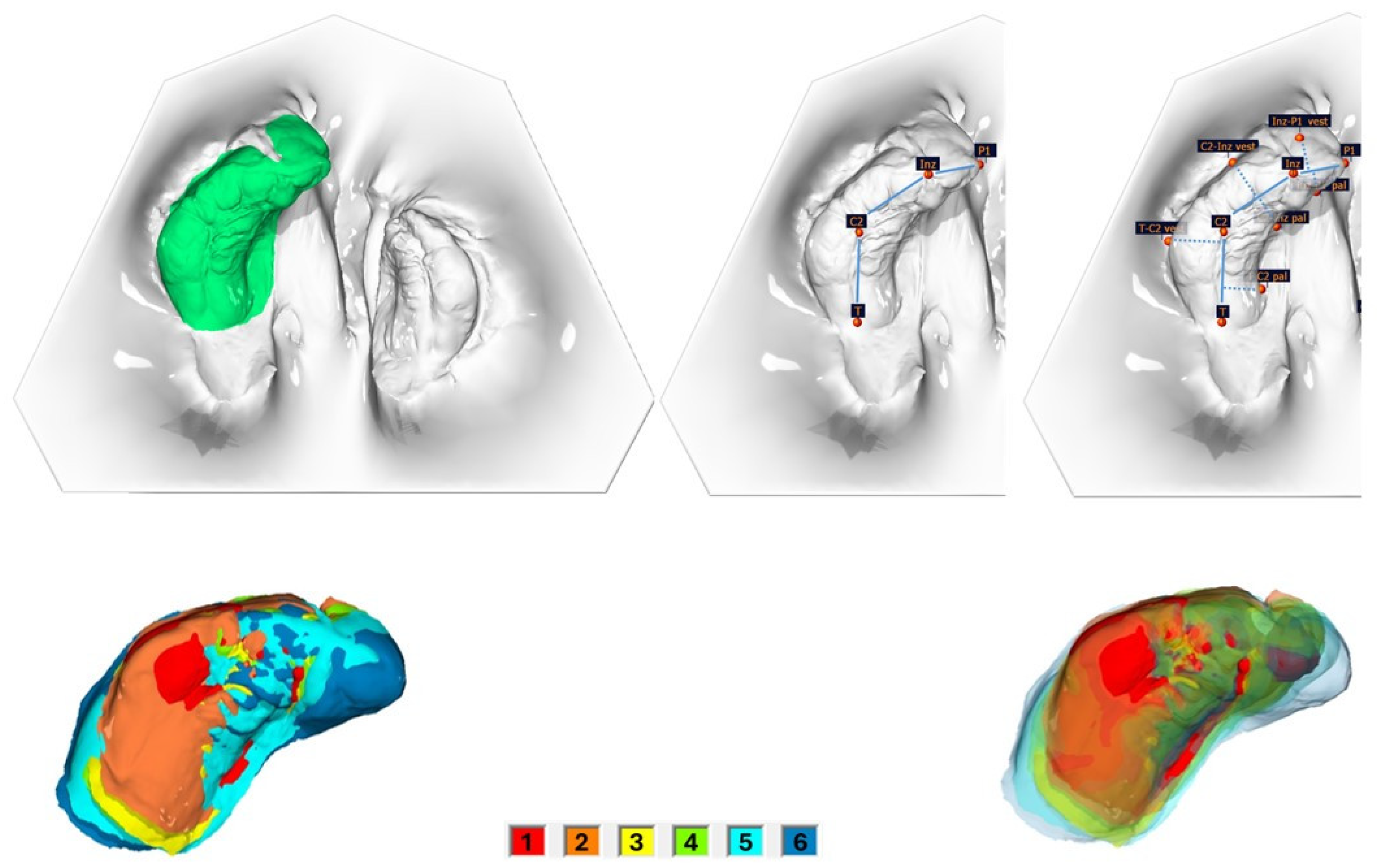 Medicina 61 01232 g002 Medicina 61 01232 g002