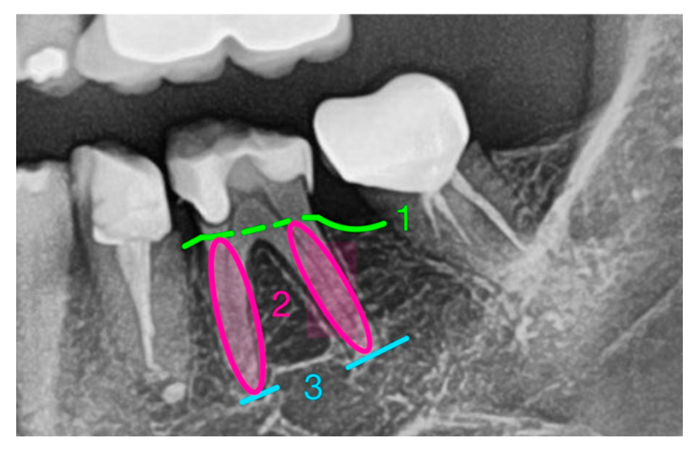Medicina 61 01261 g001