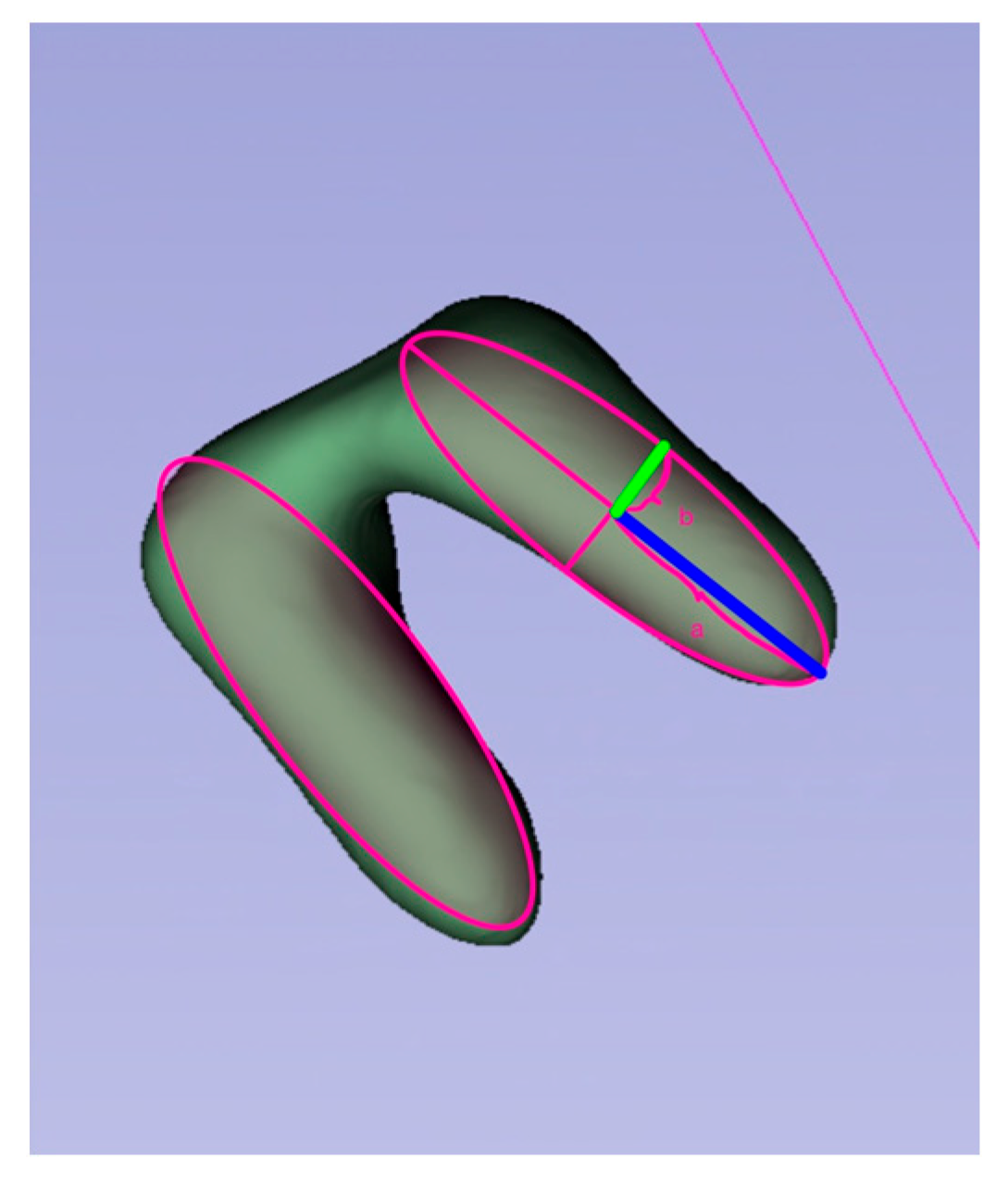 Medicina 61 01261 g002