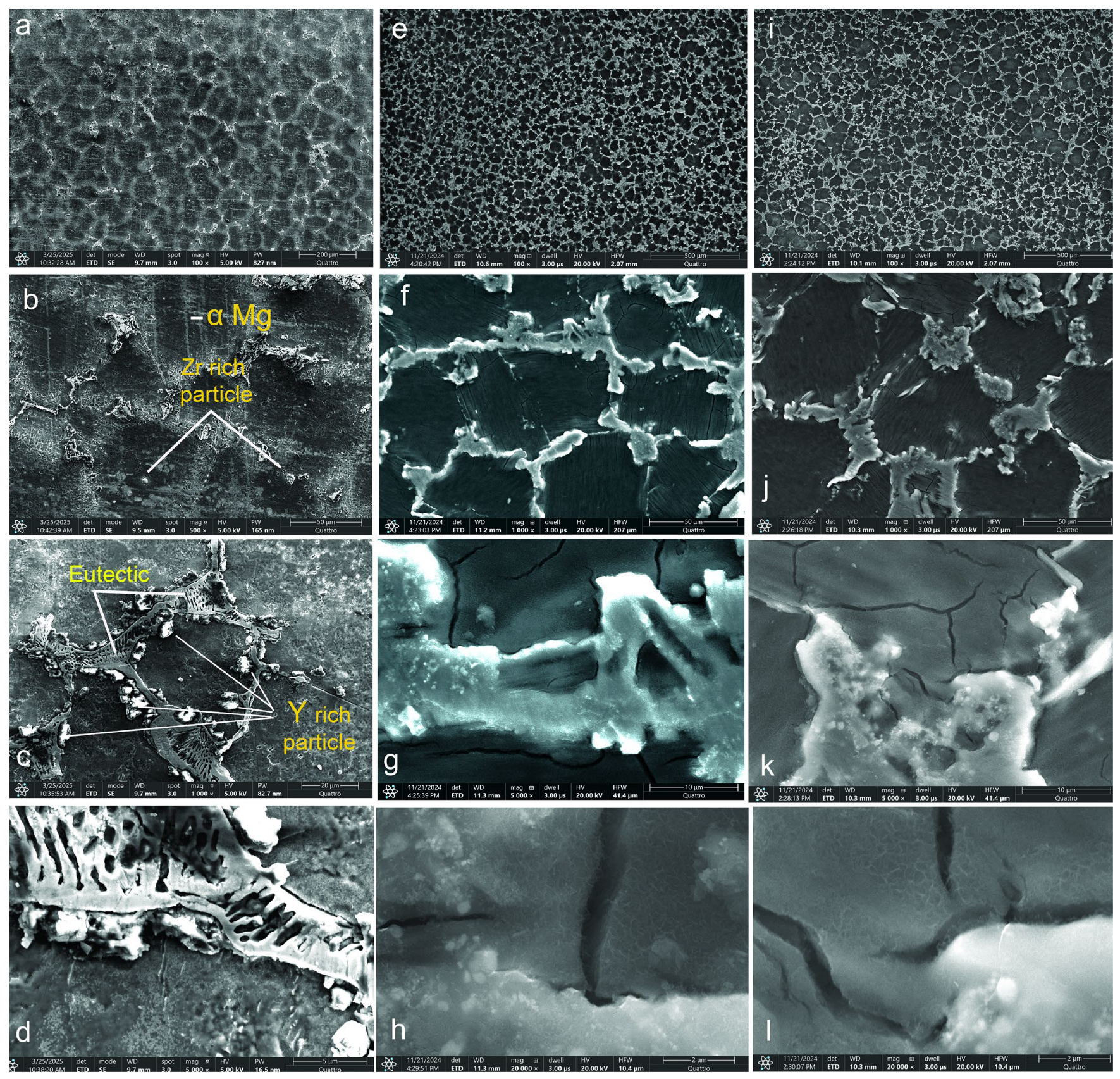 Medicina 61 01271 g001