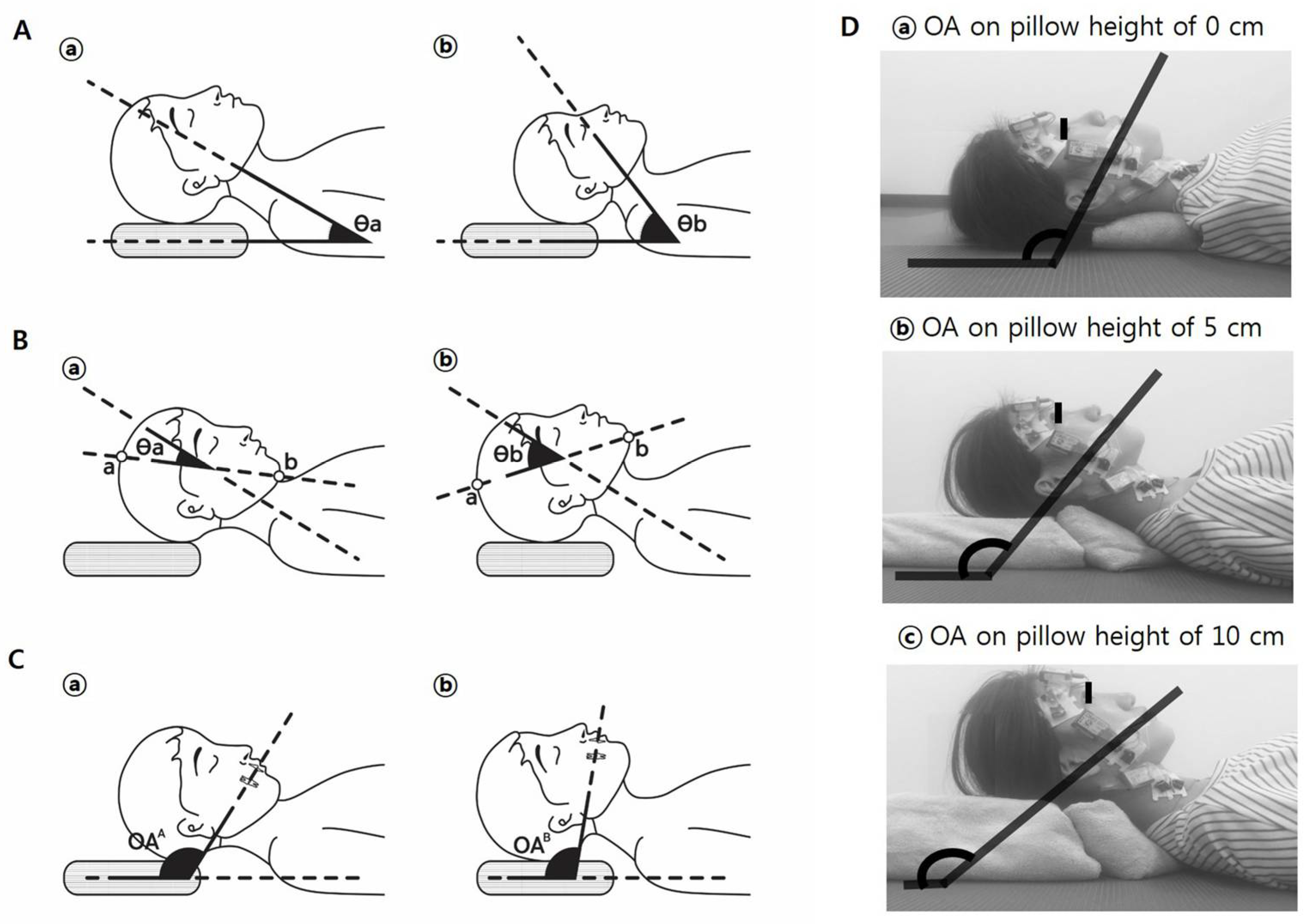 Medicina 61 01274 g001