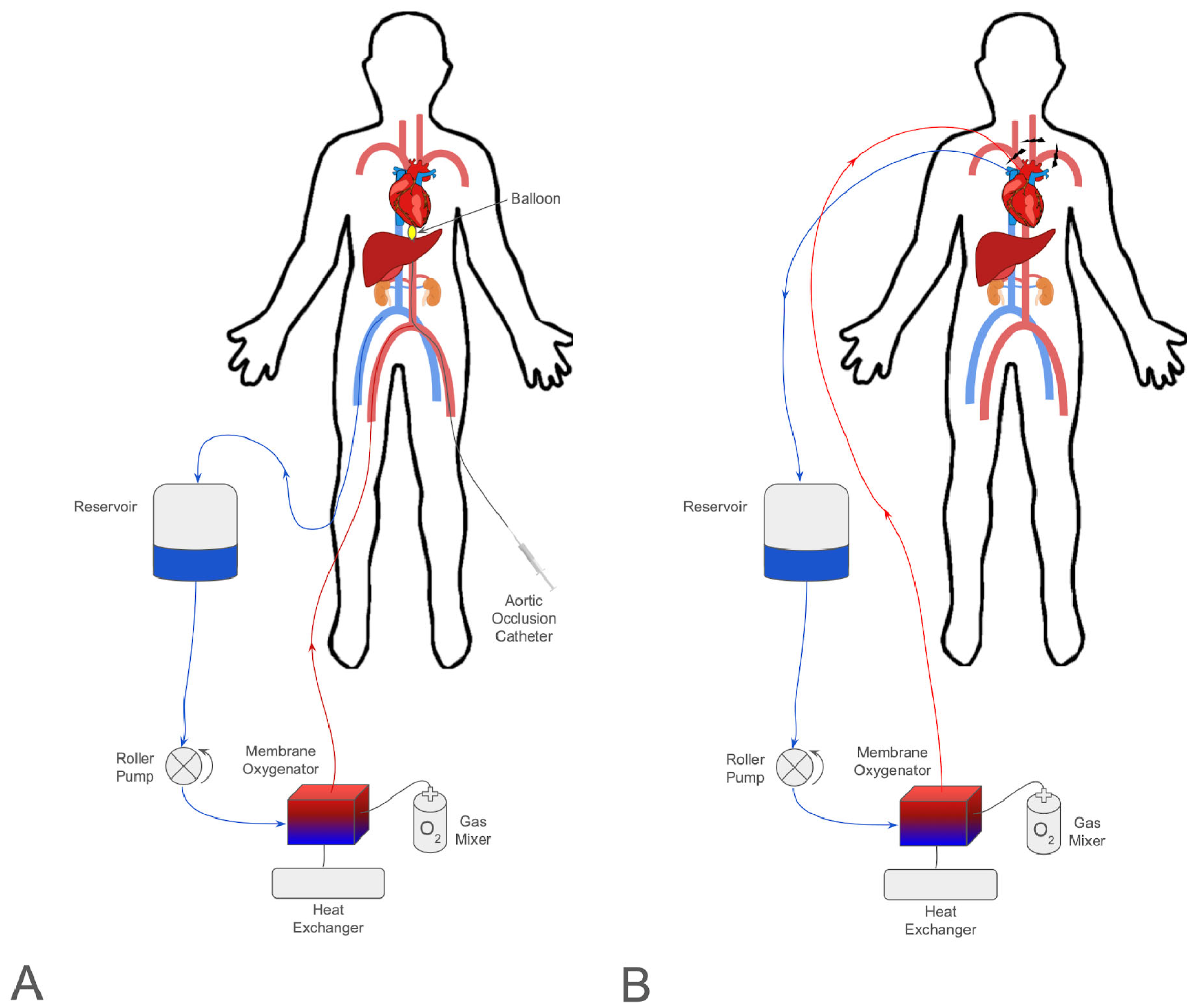 Medicina 61 01276 g001