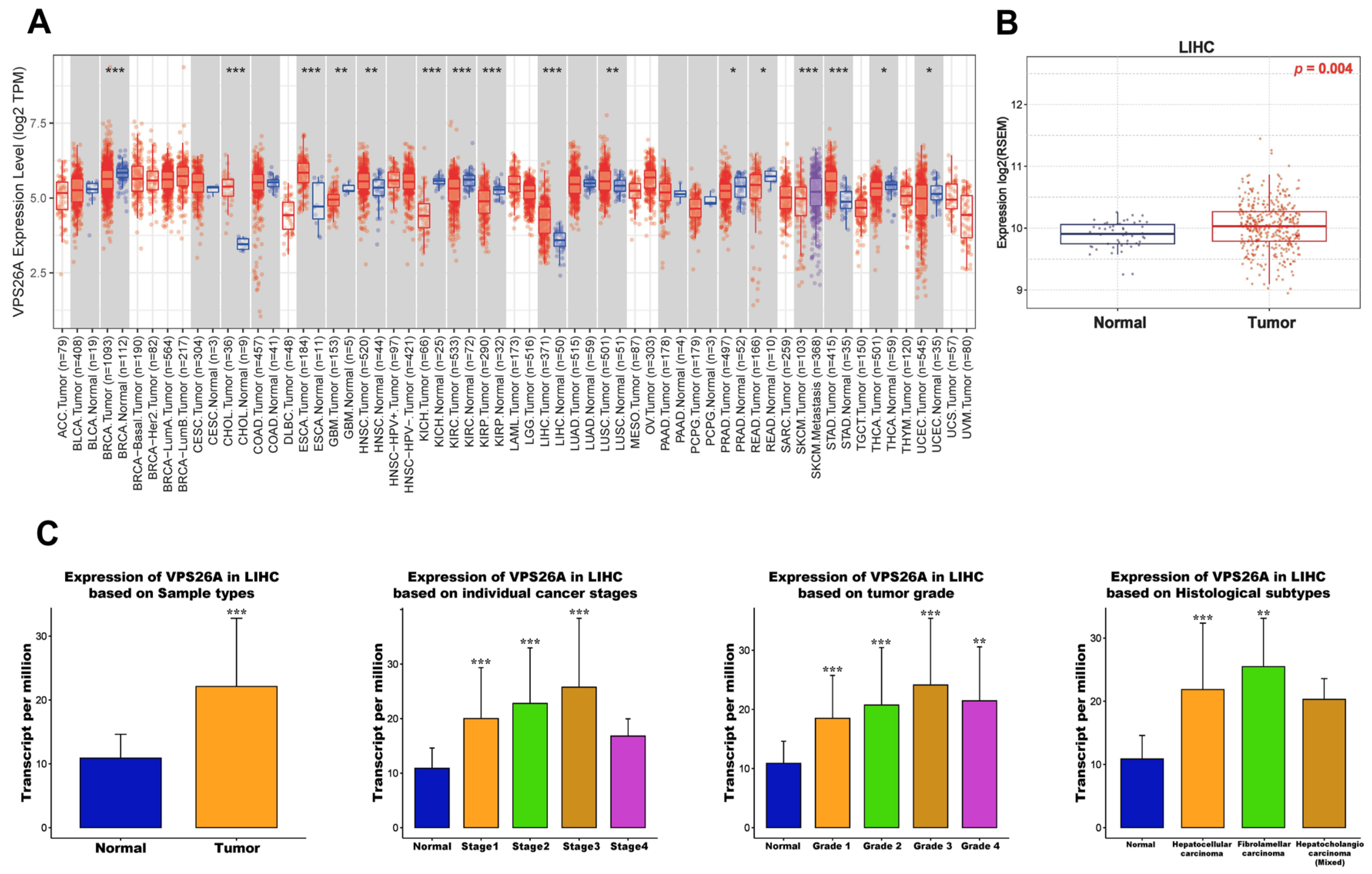Medicina 61 01283 g001