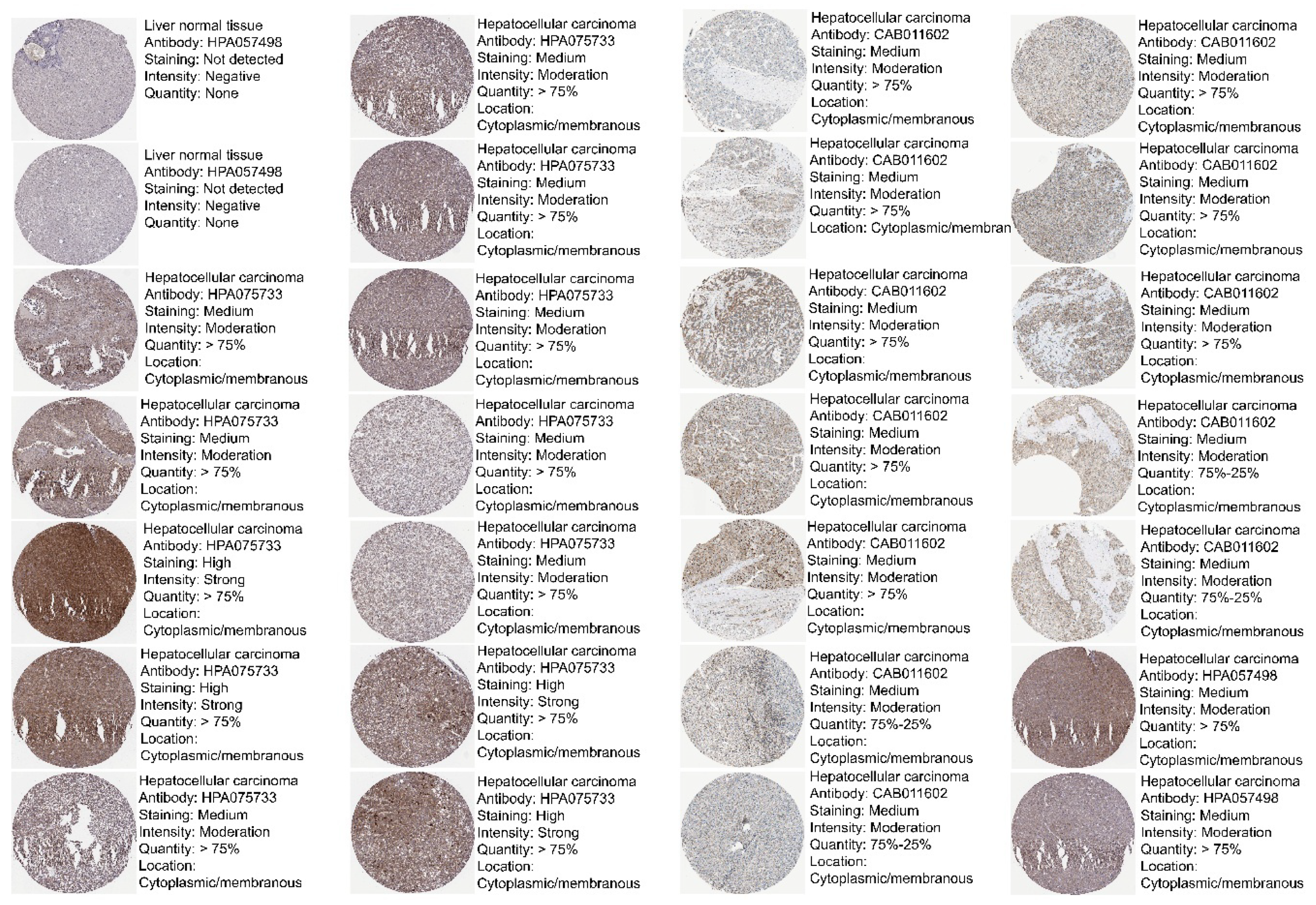 Medicina 61 01283 g002