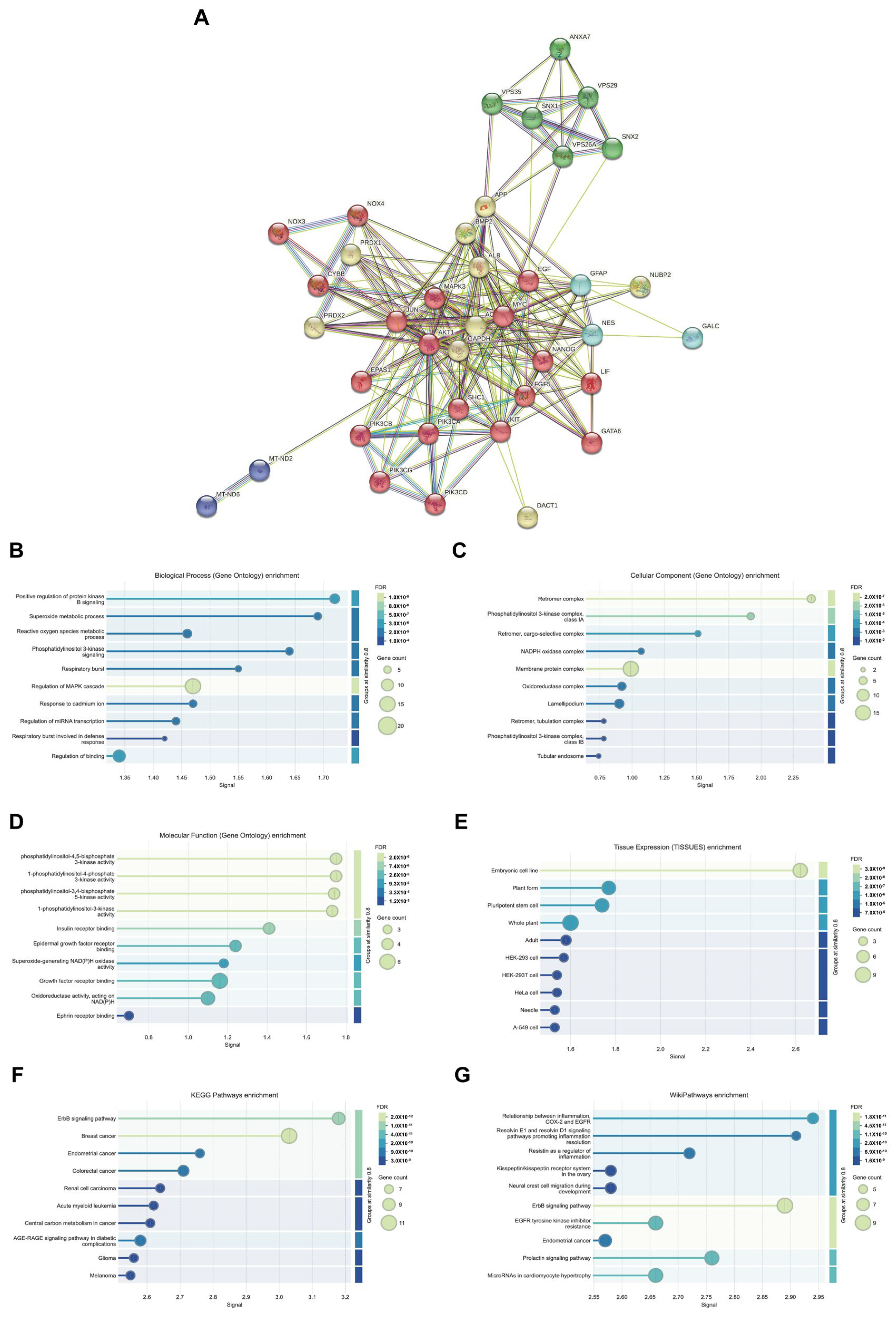 Medicina 61 01283 g013