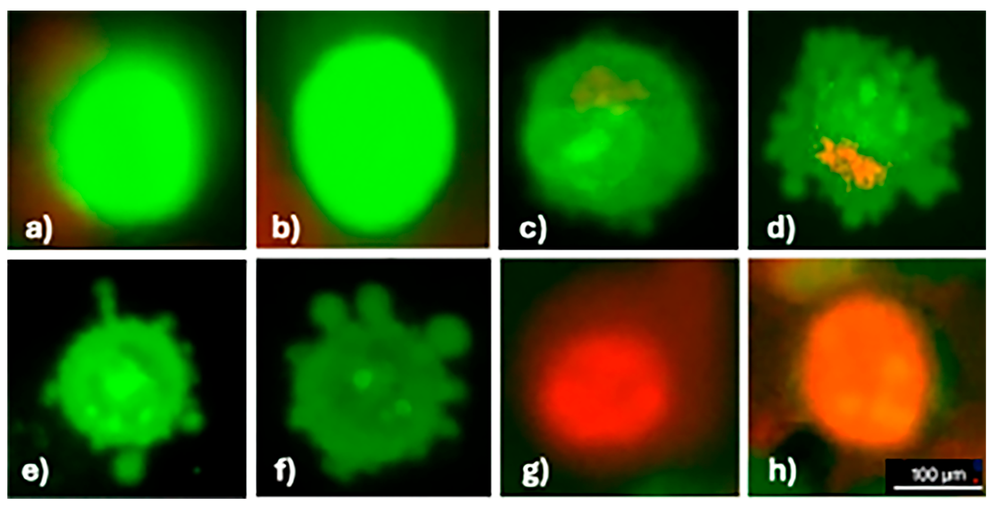 Medicina 61 01285 g004