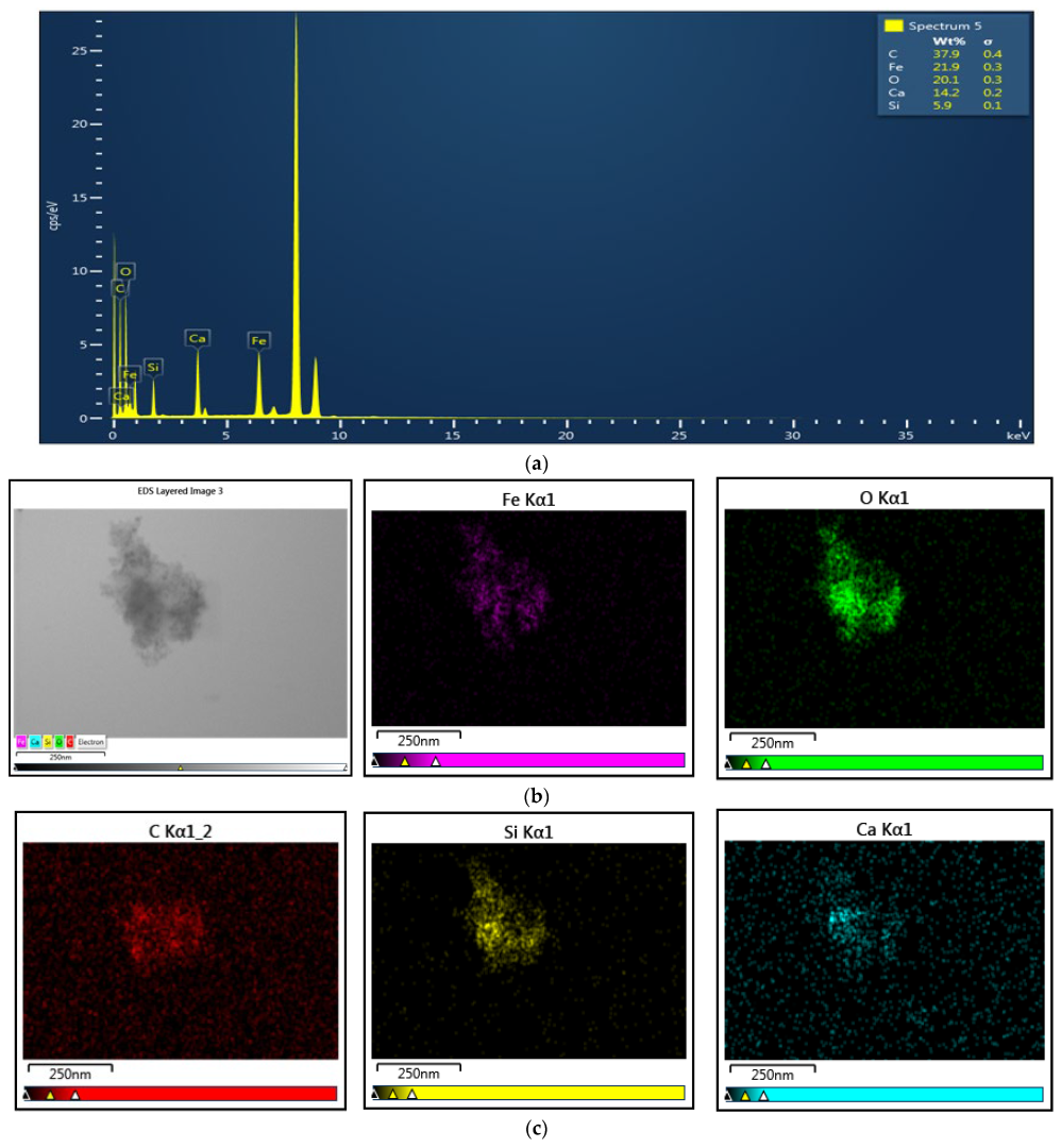 Medicina 61 01289 g005