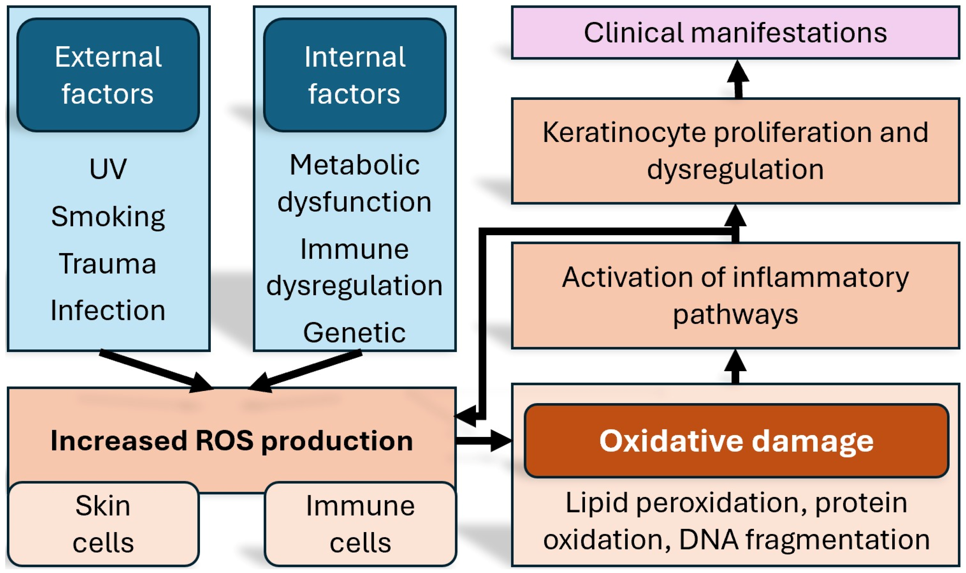 Medicina 61 01296 g001