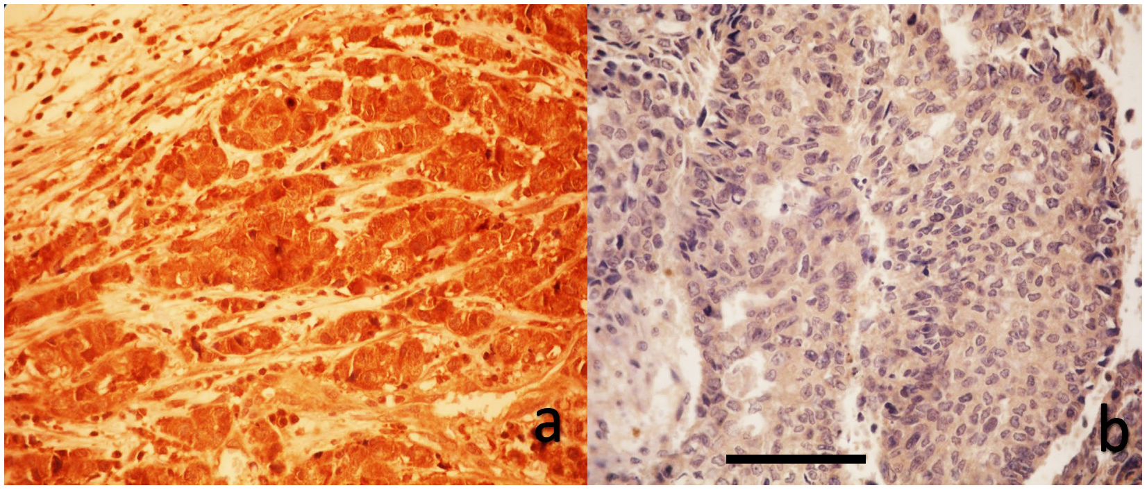 Medicina 61 01297 g001