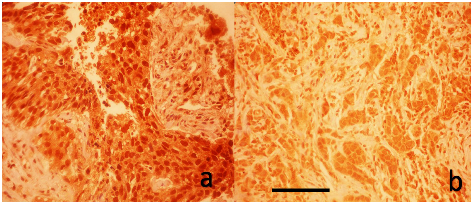 Medicina 61 01297 g002