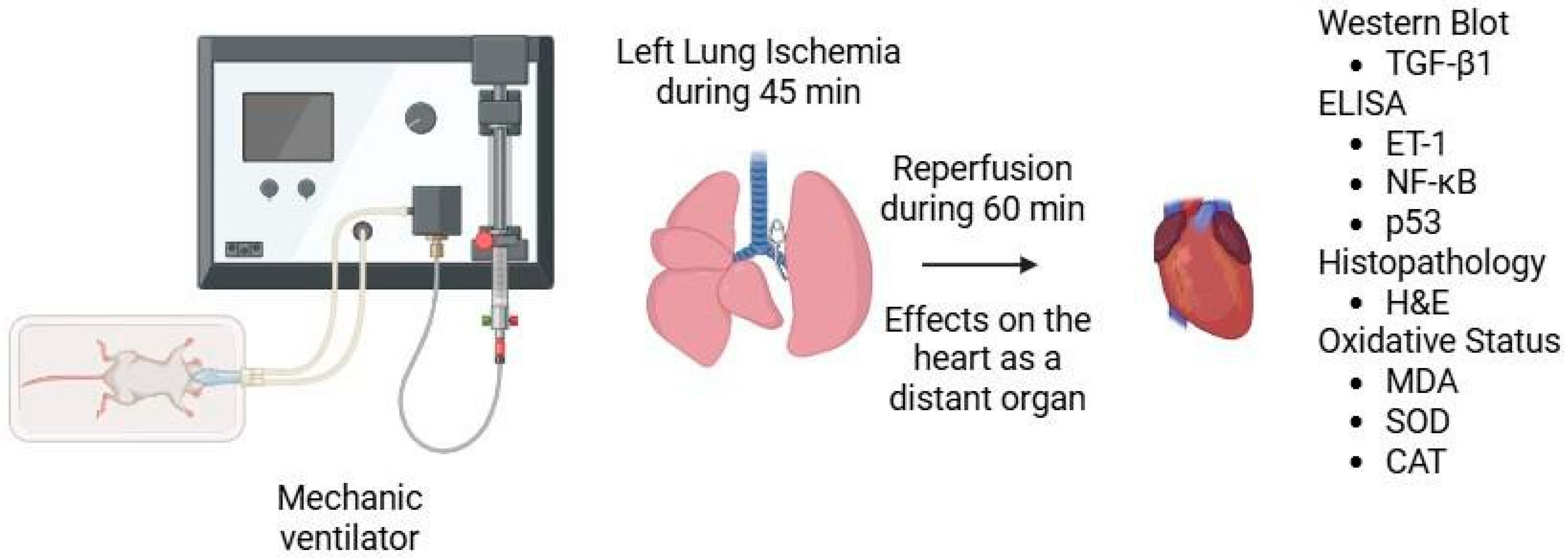 Medicina 61 01298 g001