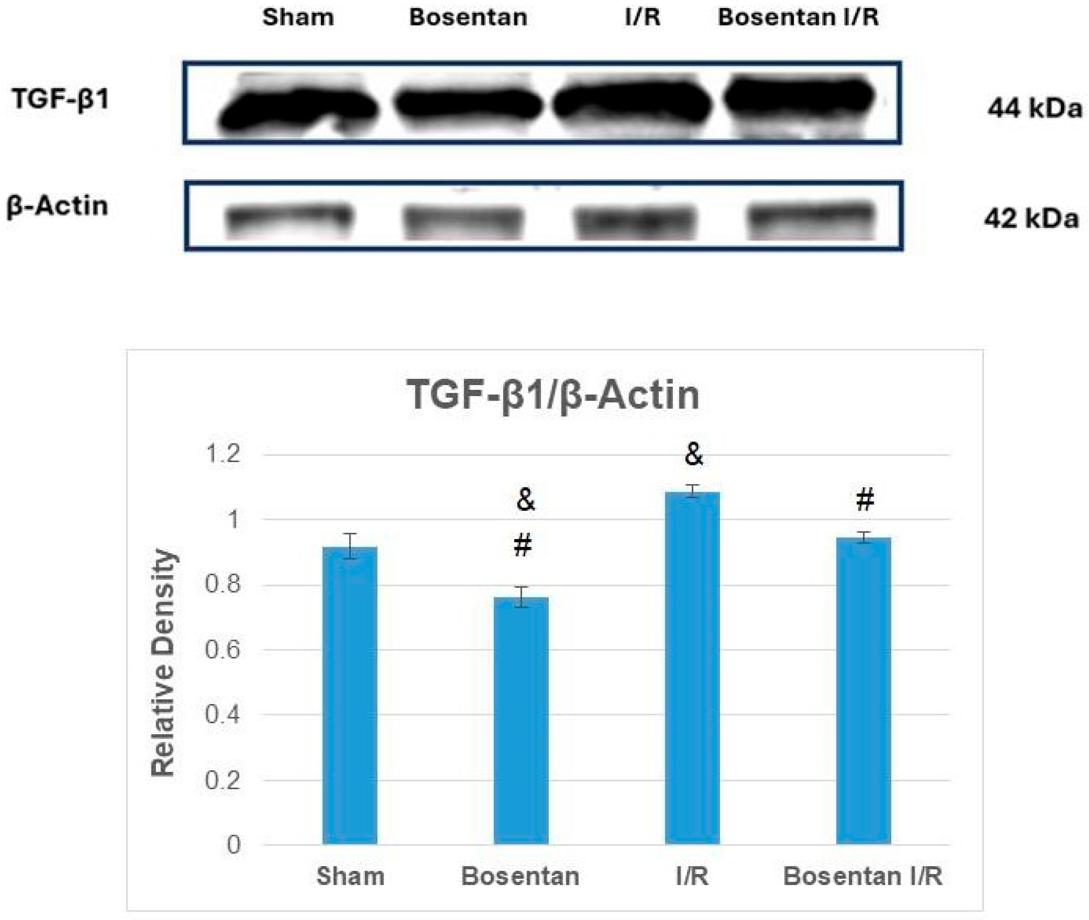 Medicina 61 01298 g006