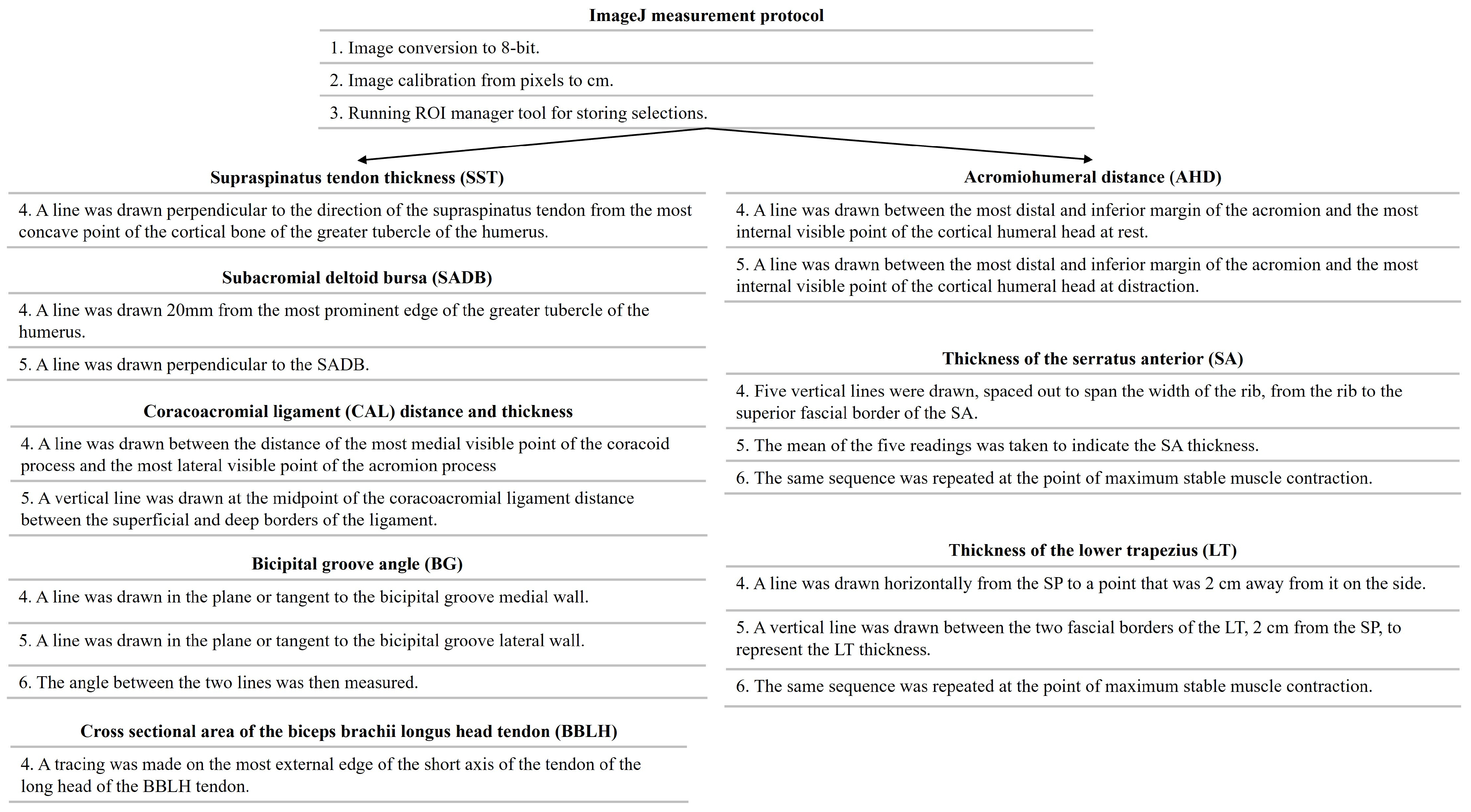 Medicina 61 01304 g001