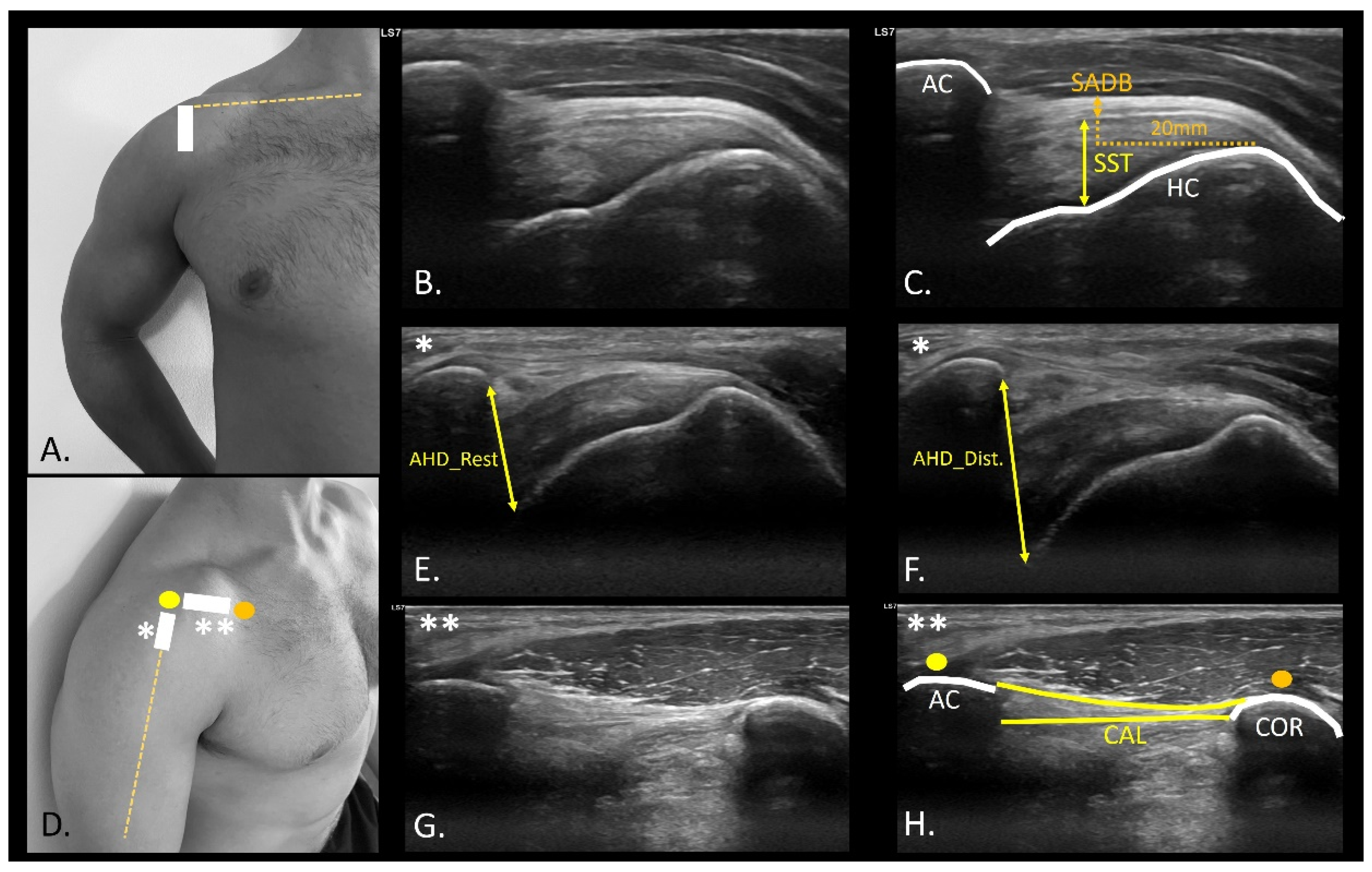 Medicina 61 01304 g002