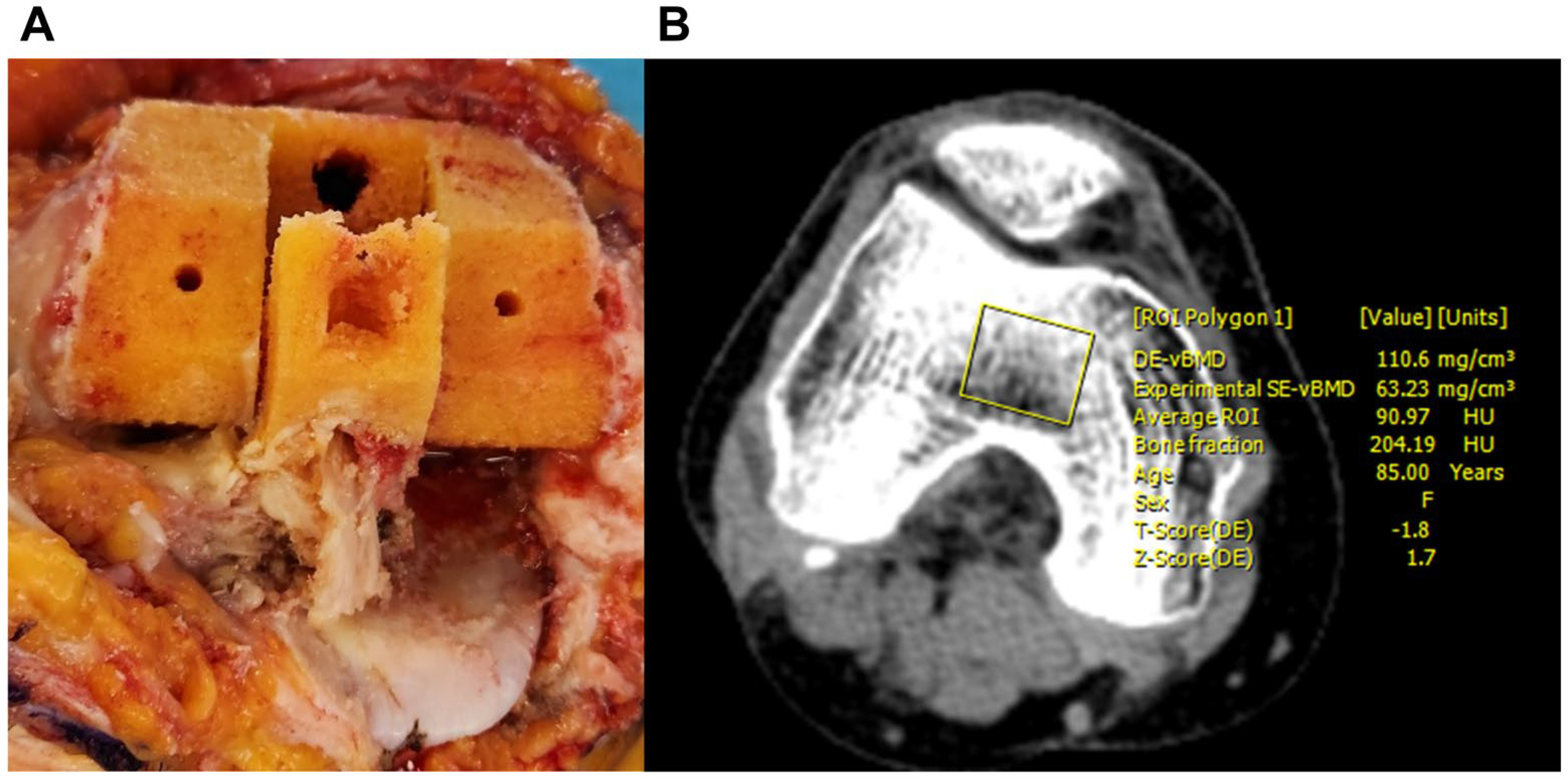 Medicina 61 01305 g001 Medicina 61 01305 g001