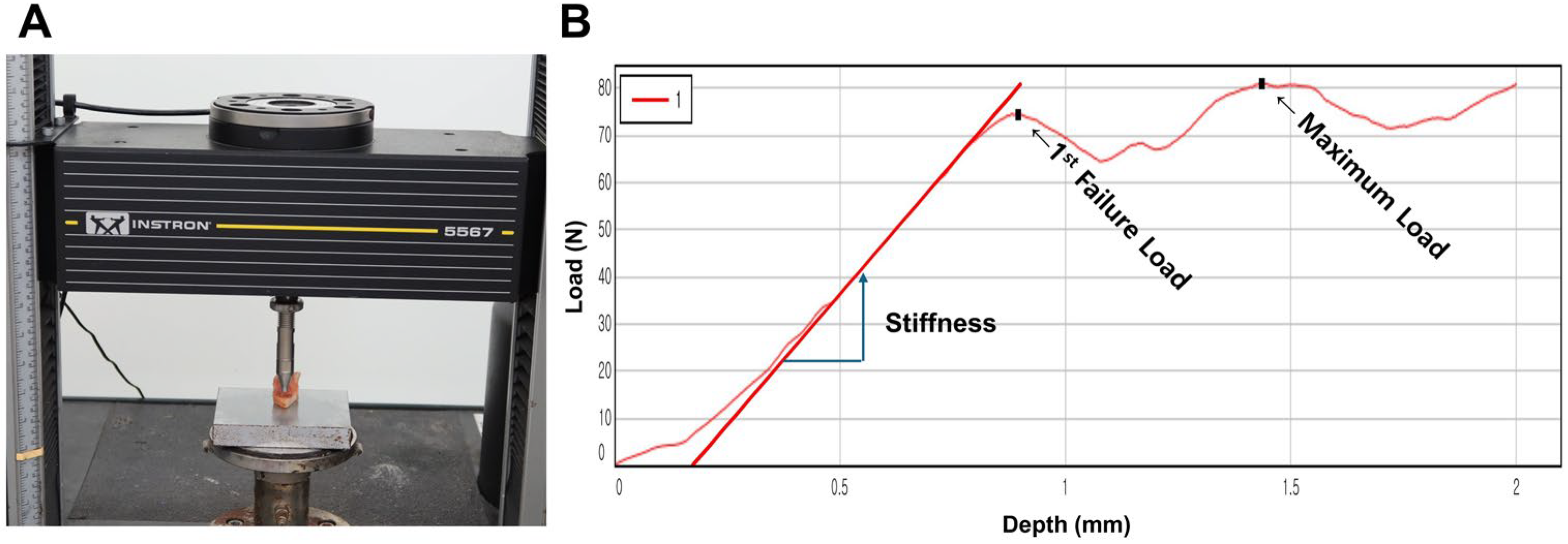 Medicina 61 01305 g002 Medicina 61 01305 g002
