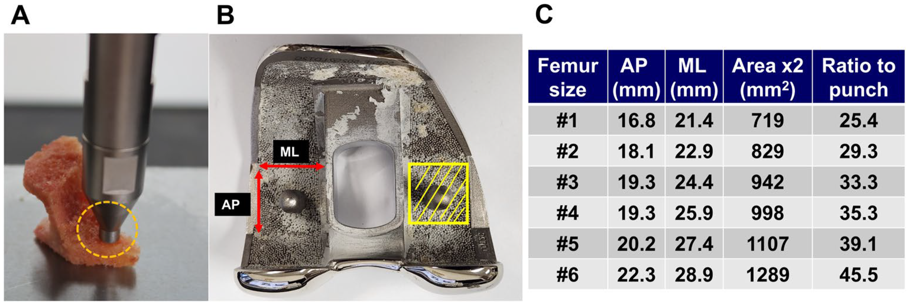 Medicina 61 01305 g003 Medicina 61 01305 g003