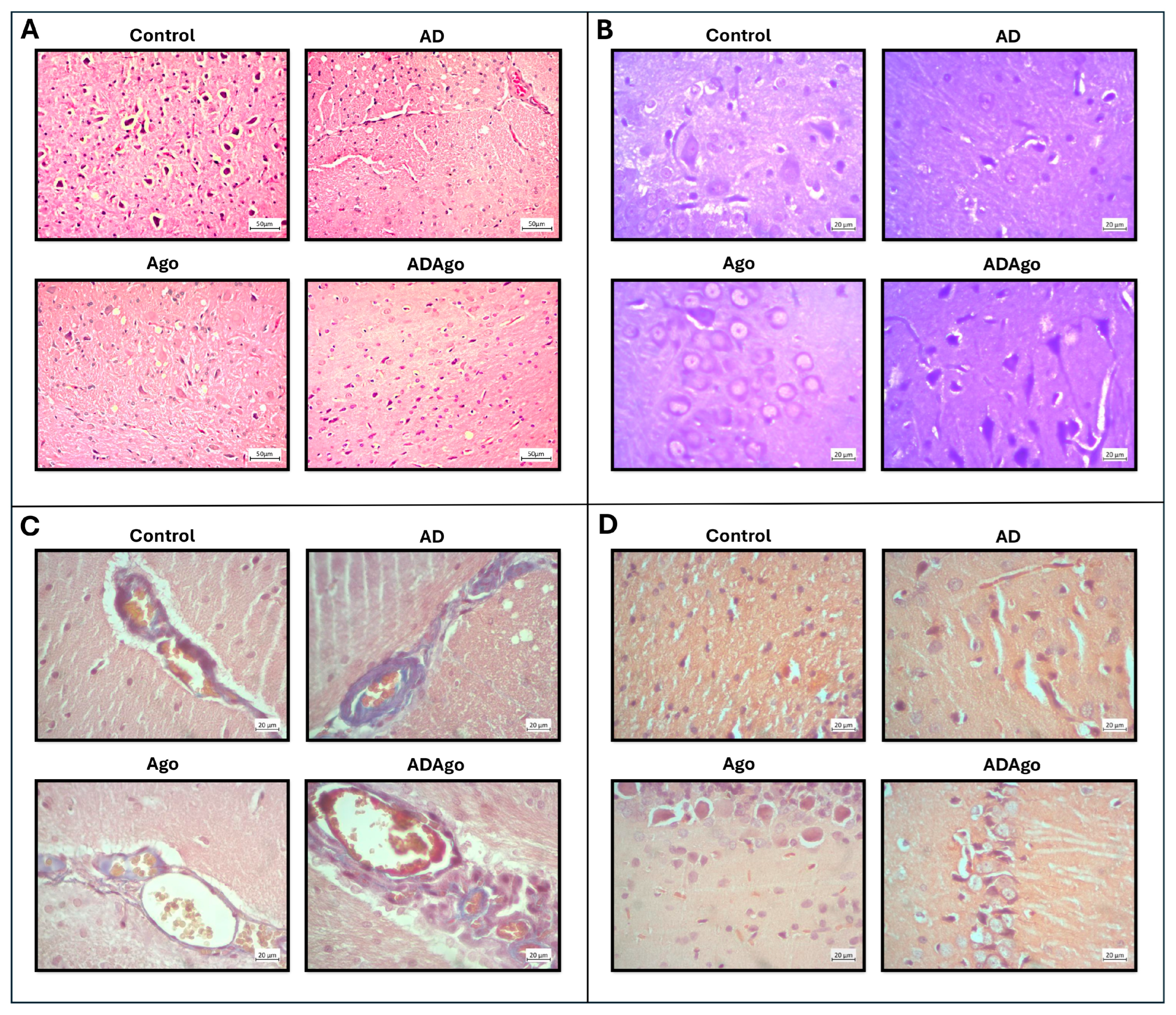 Medicina 61 01315 g008