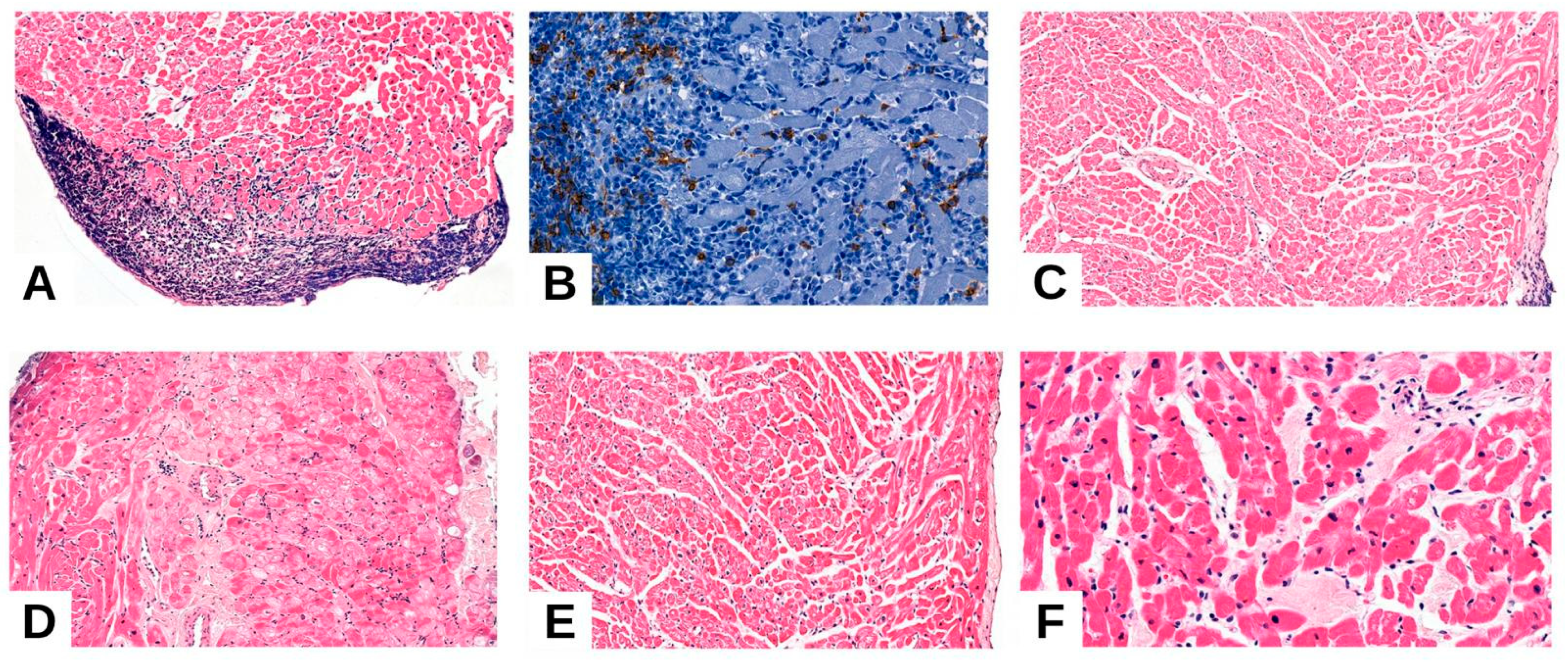 Medicina 61 01317 g001