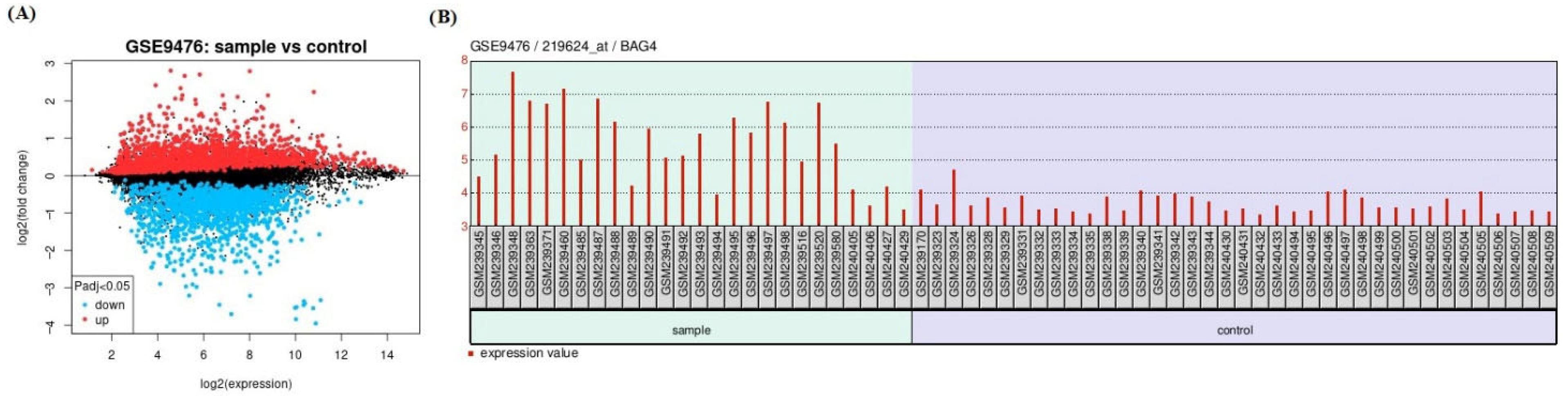 Medicina 61 01333 g001