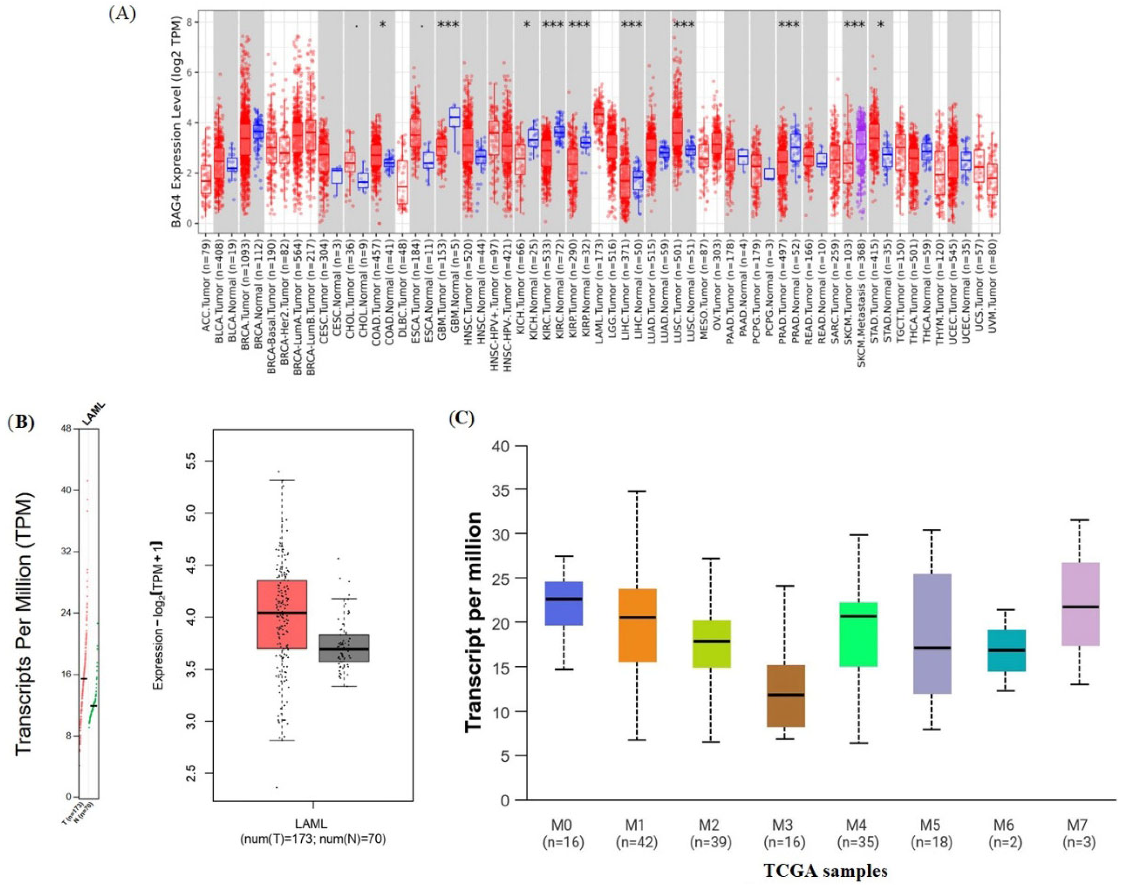 Medicina 61 01333 g002