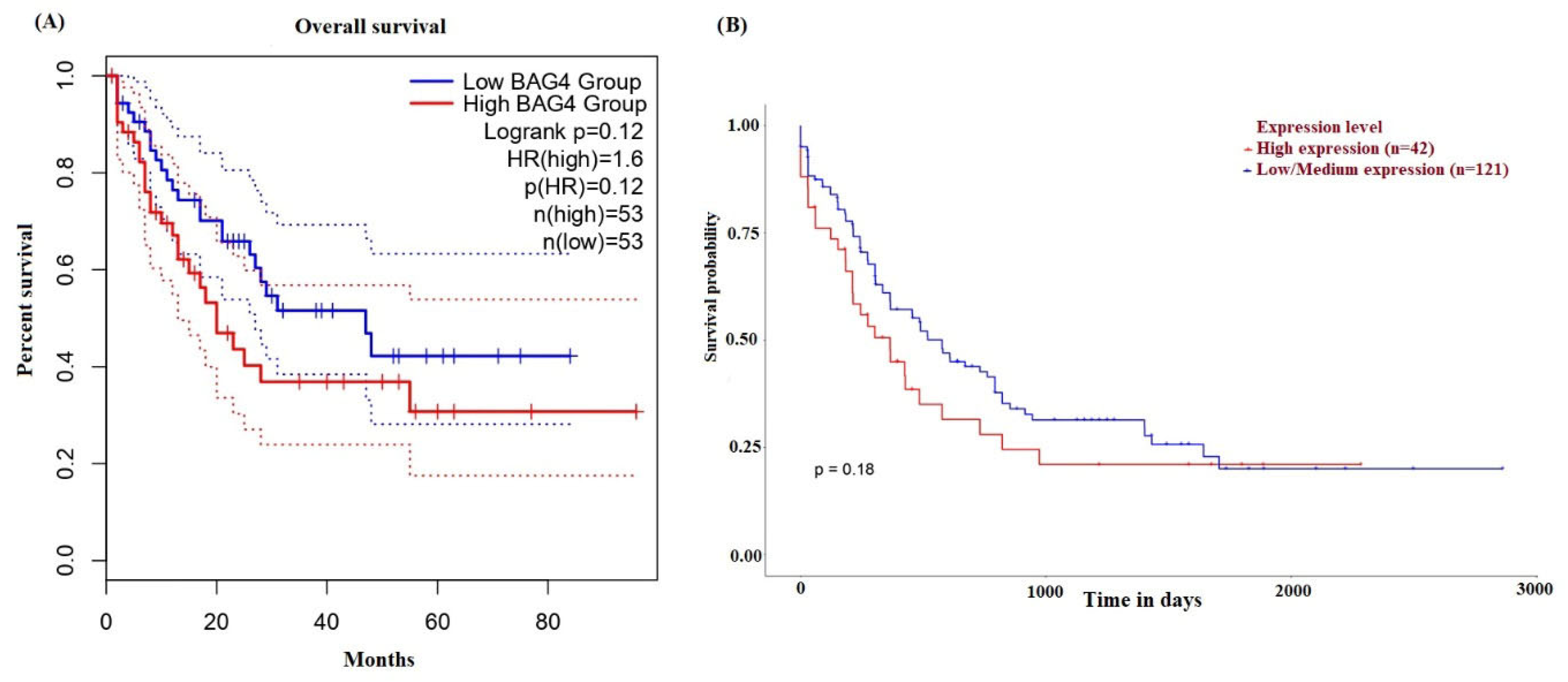 Medicina 61 01333 g004